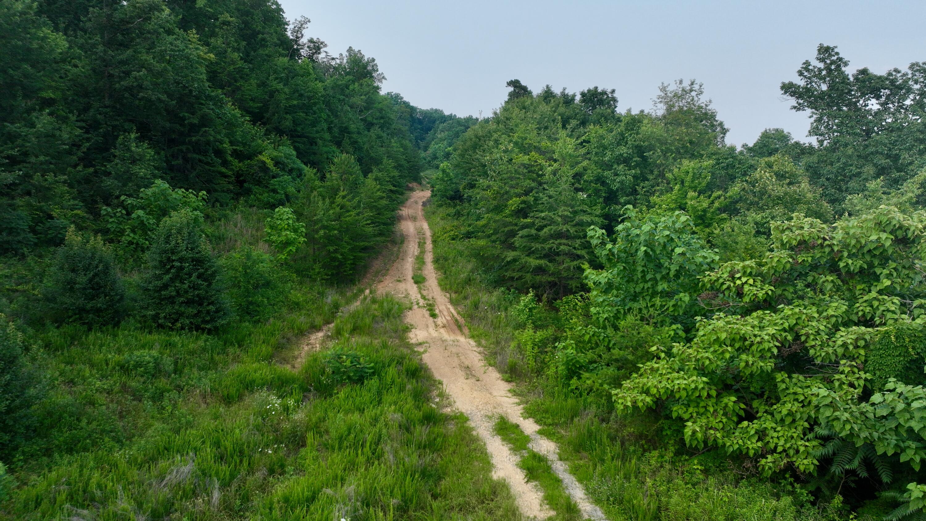 Rocky Ledge Drive, Hixson, Tennessee image 10