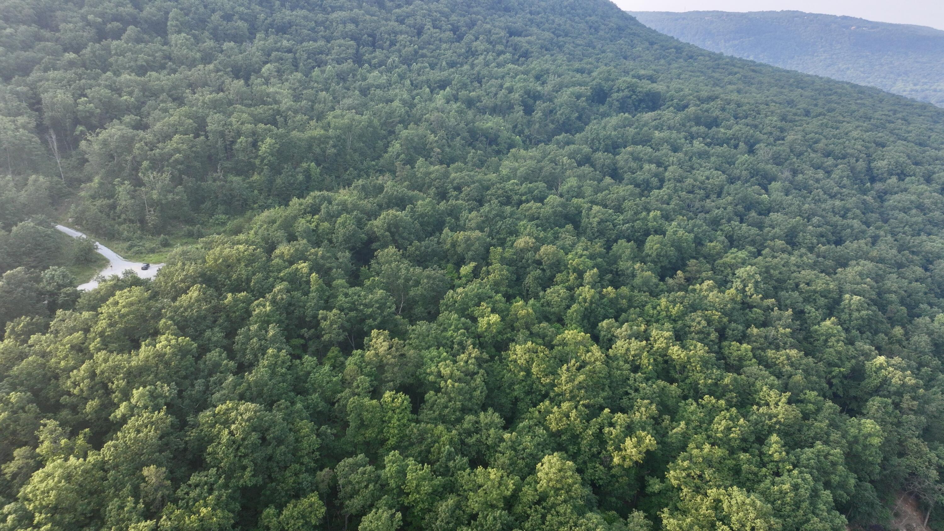 Rocky Ledge Drive, Hixson, Tennessee image 3