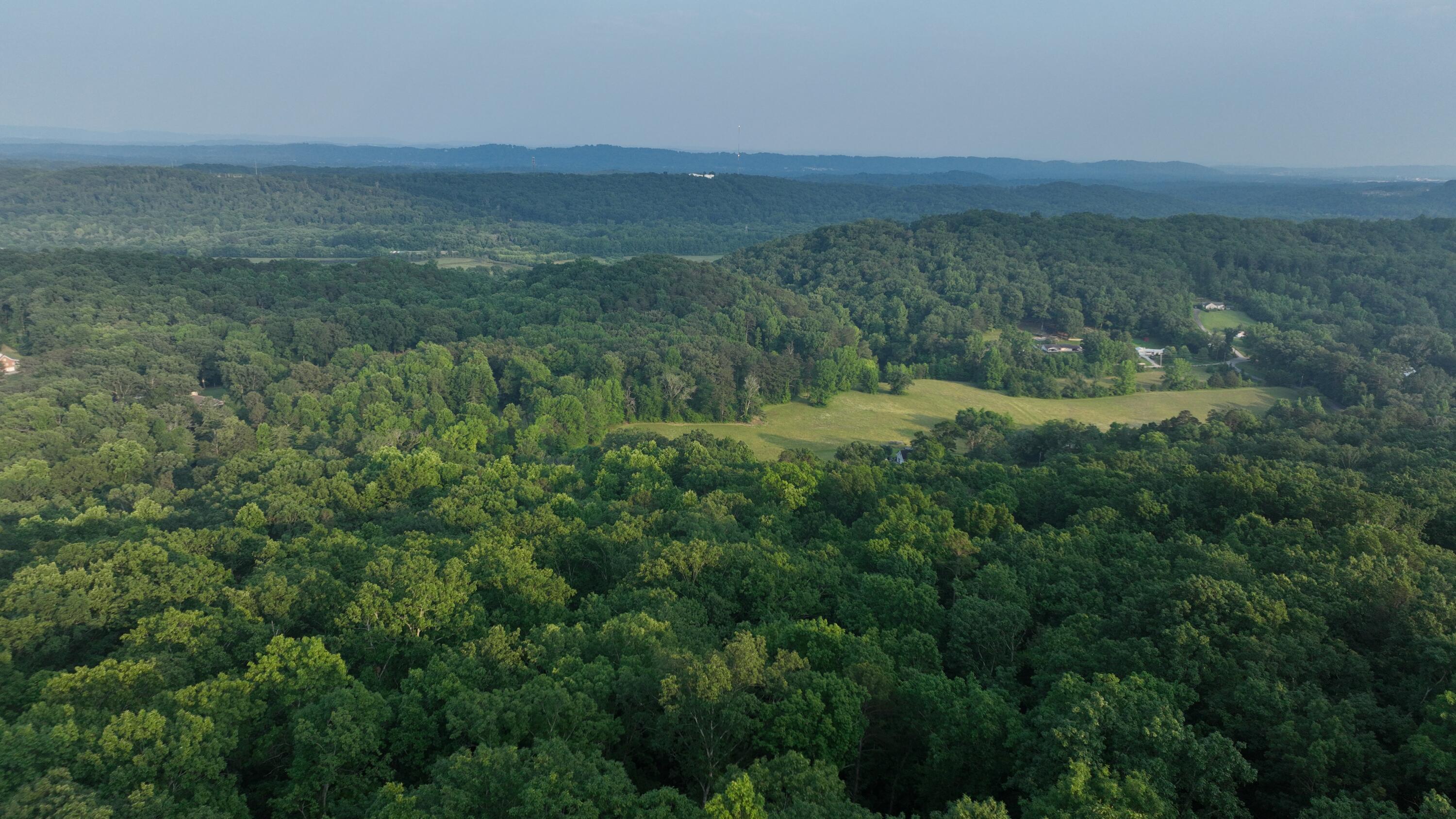 Rocky Ledge Drive, Hixson, Tennessee image 12