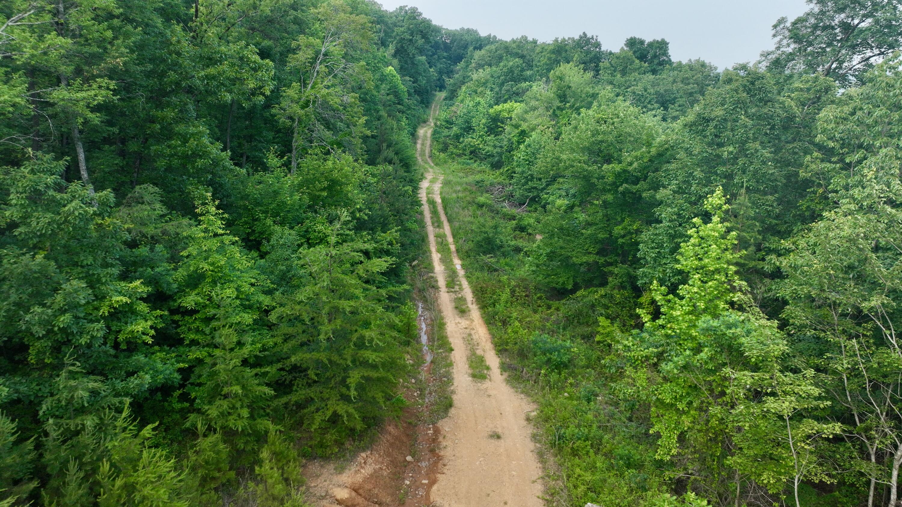 Rocky Ledge Drive, Hixson, Tennessee image 7