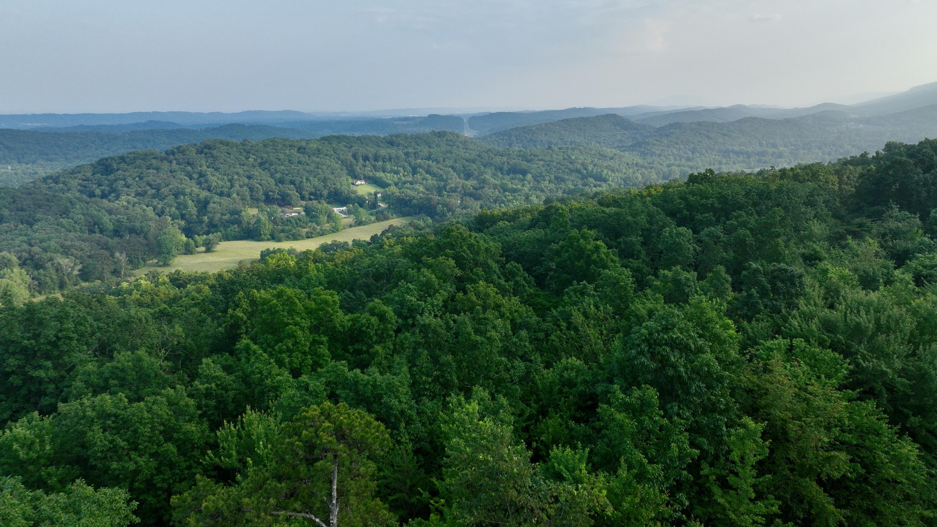 Rocky Ledge Drive, Hixson, Tennessee image 8