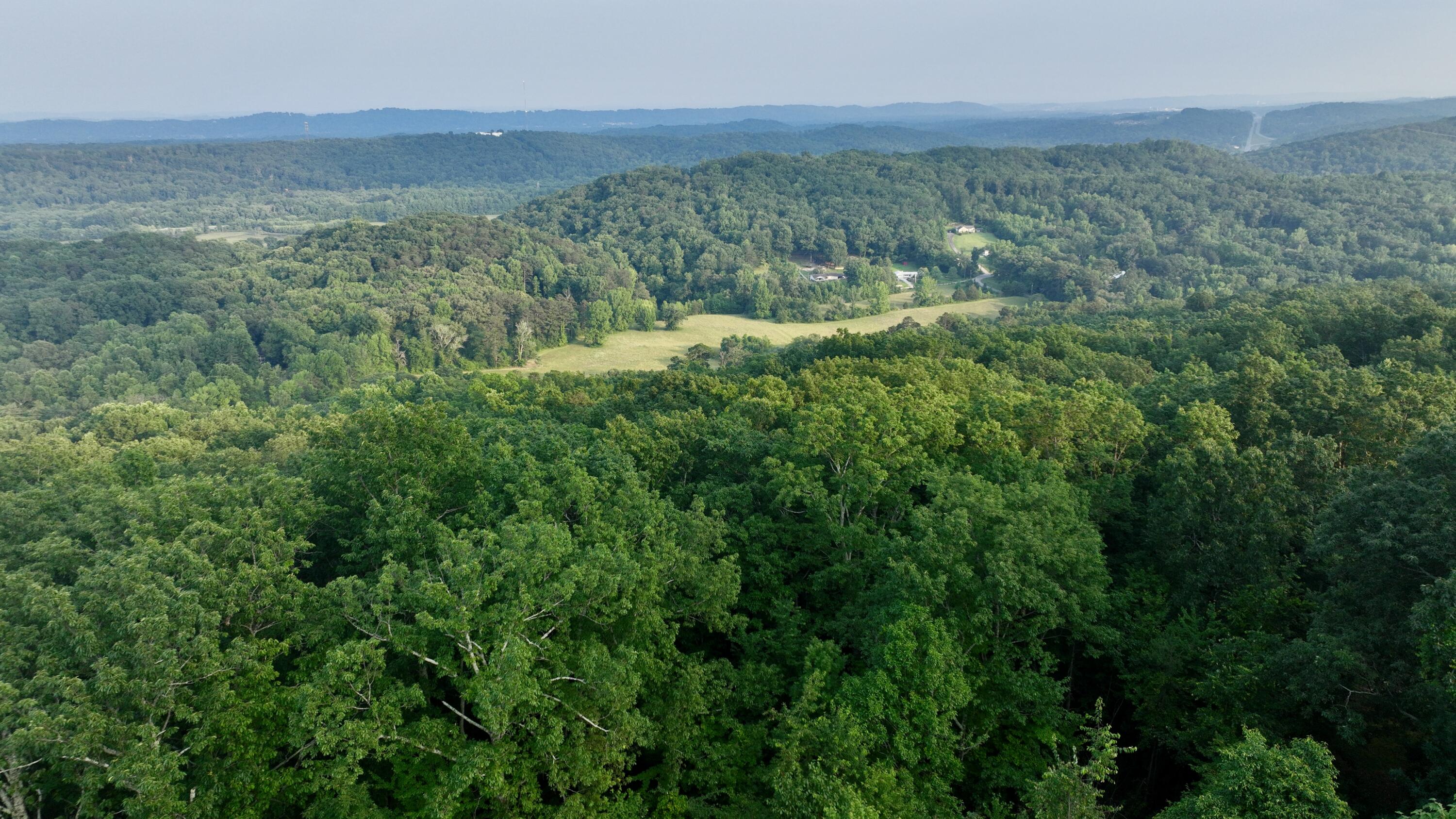 Rocky Ledge Drive, Hixson, Tennessee image 11
