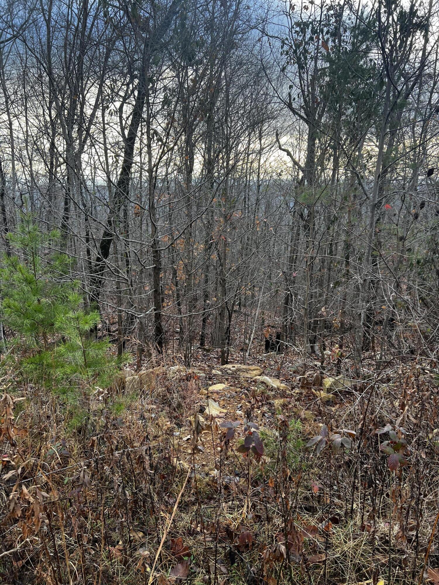 Rocky Ledge Drive, Hixson, Tennessee image 22