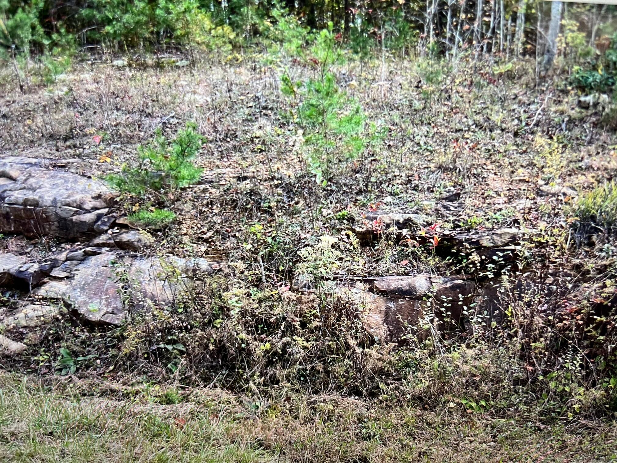 245 Hill Road, Crossville, Tennessee image 4