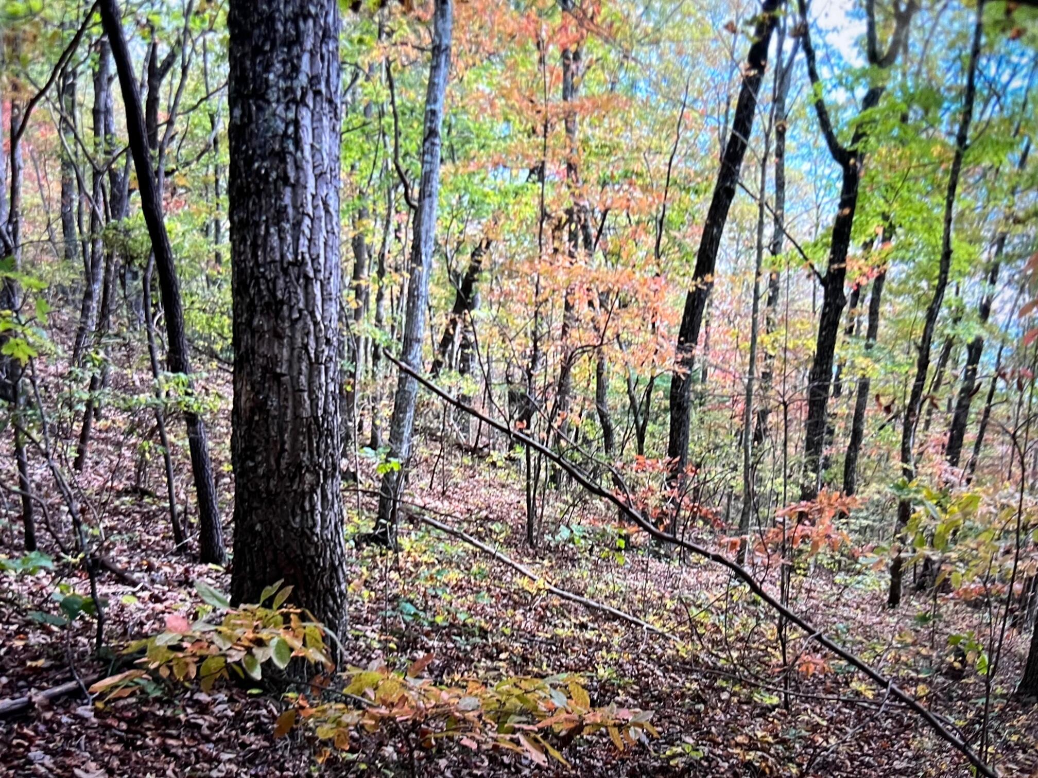 245 Hill Road, Crossville, Tennessee image 1