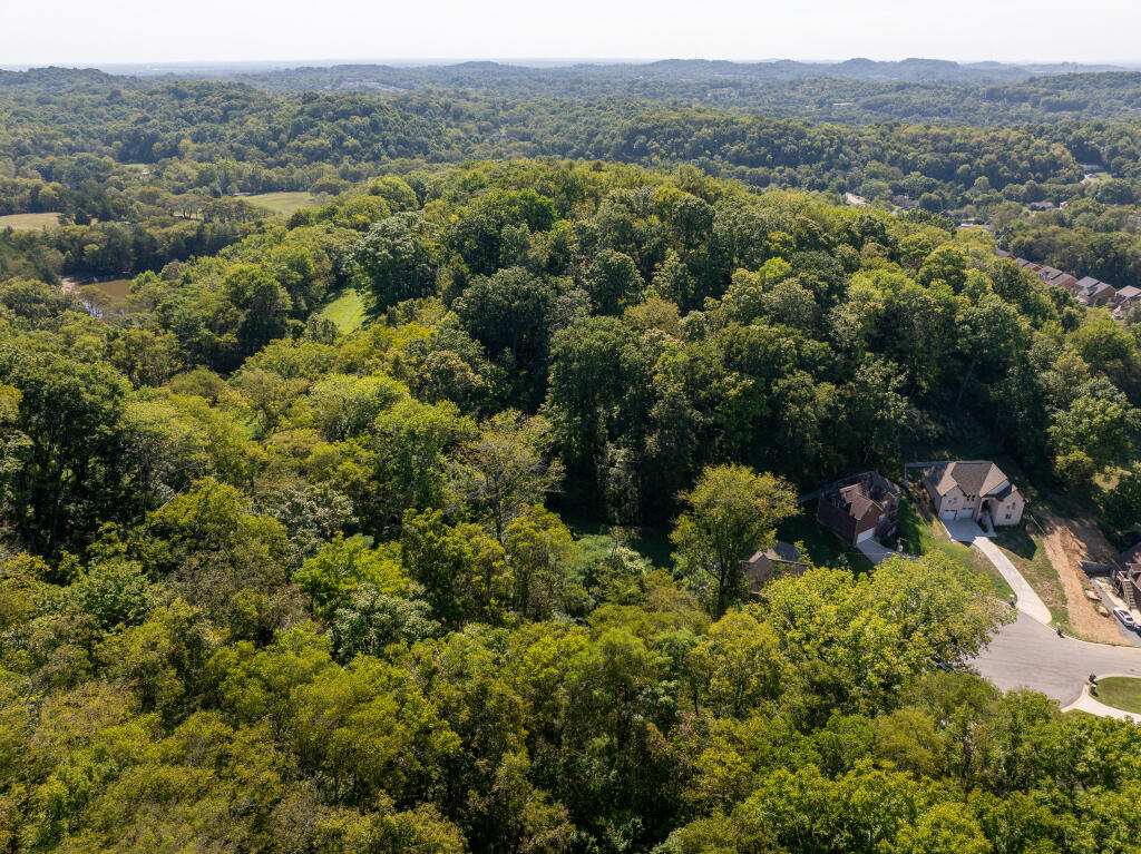 221 Indian Summer Court, Nashville, Tennessee image 4