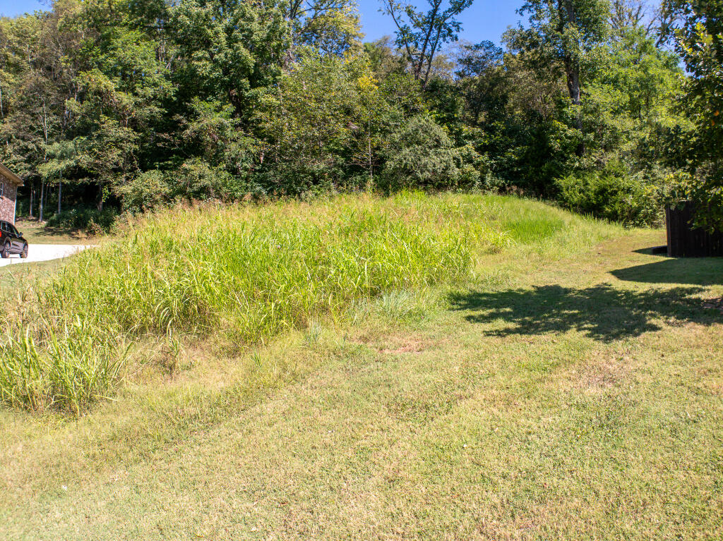 221 Indian Summer Court, Nashville, Tennessee image 9