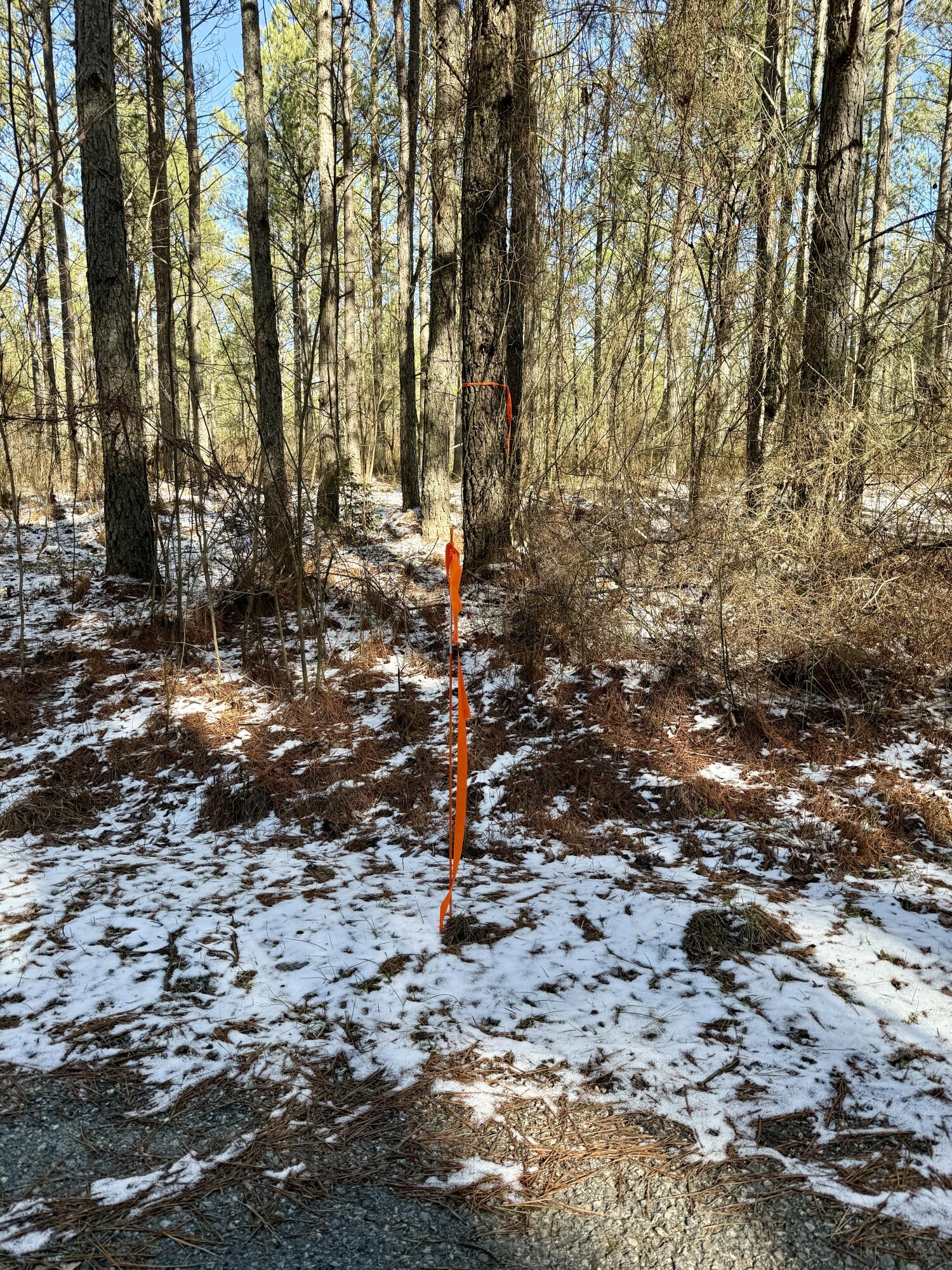 00 Sullivan Road, Dunlap, Tennessee image 12