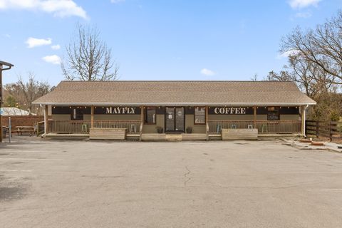 Tiny photo for 3612 Taft Highway, Signal Mountain, TN 37377 (MLS # 1508209)
