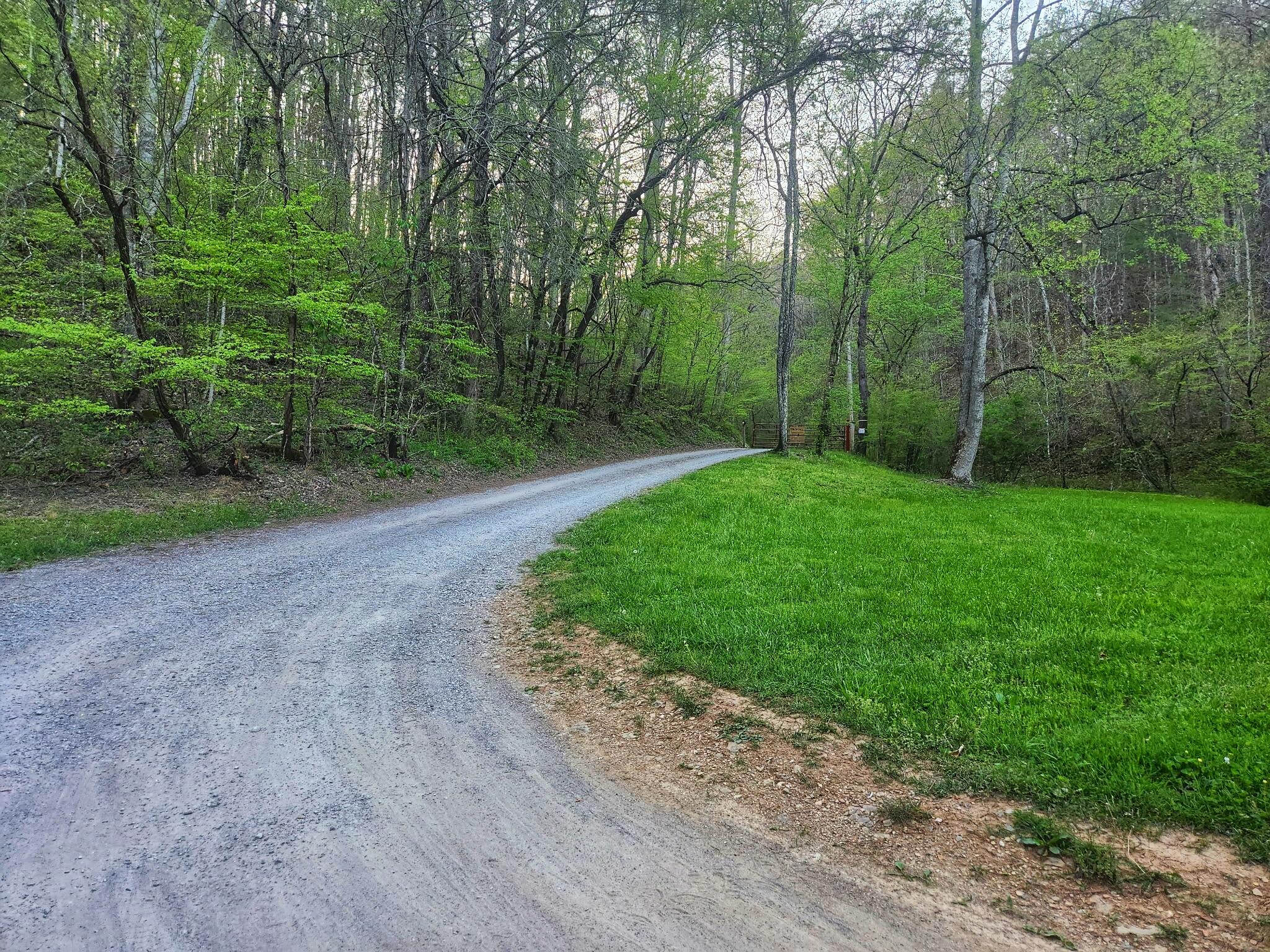 247 Upper Towee Lane, Reliance, Tennessee image 50