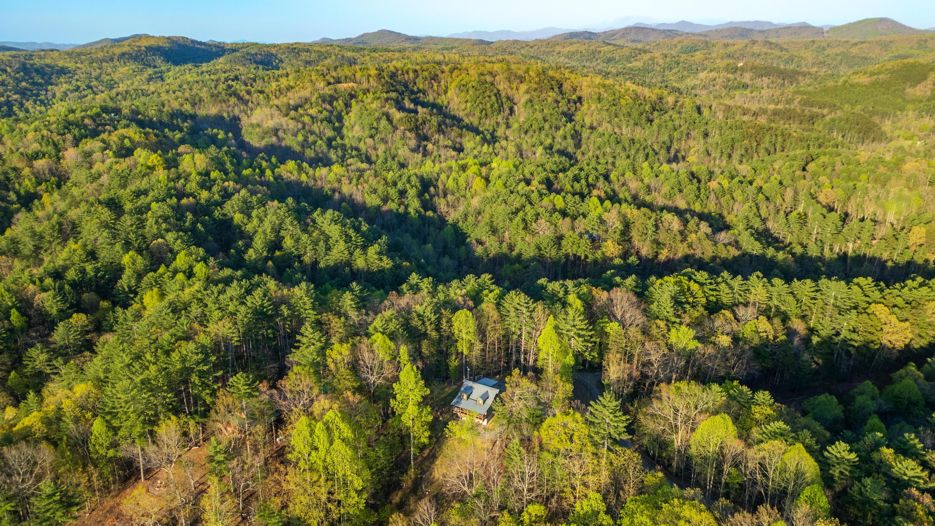 247 Upper Towee Lane, Reliance, Tennessee image 17