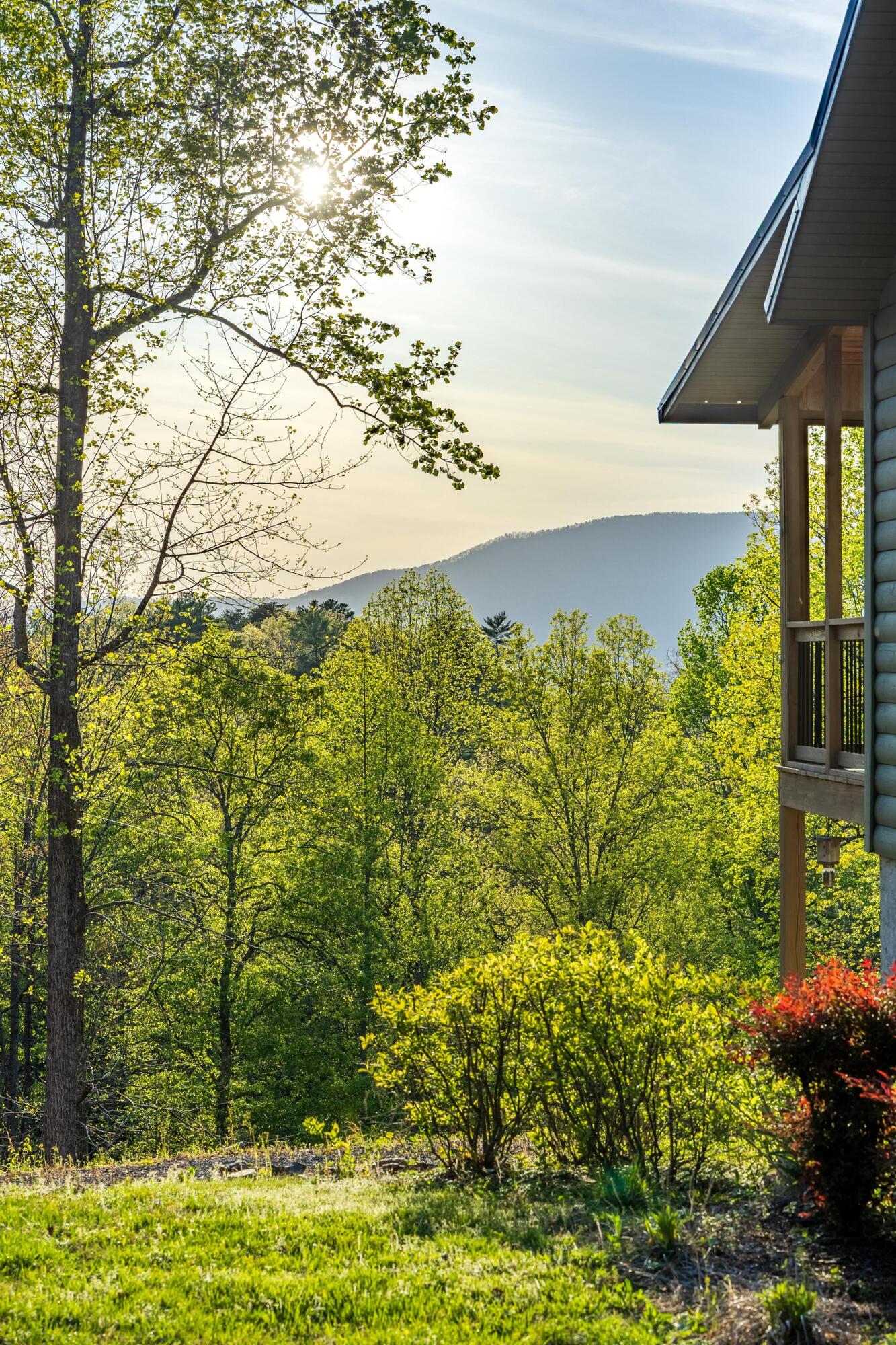 247 Upper Towee Lane, Reliance, Tennessee image 12