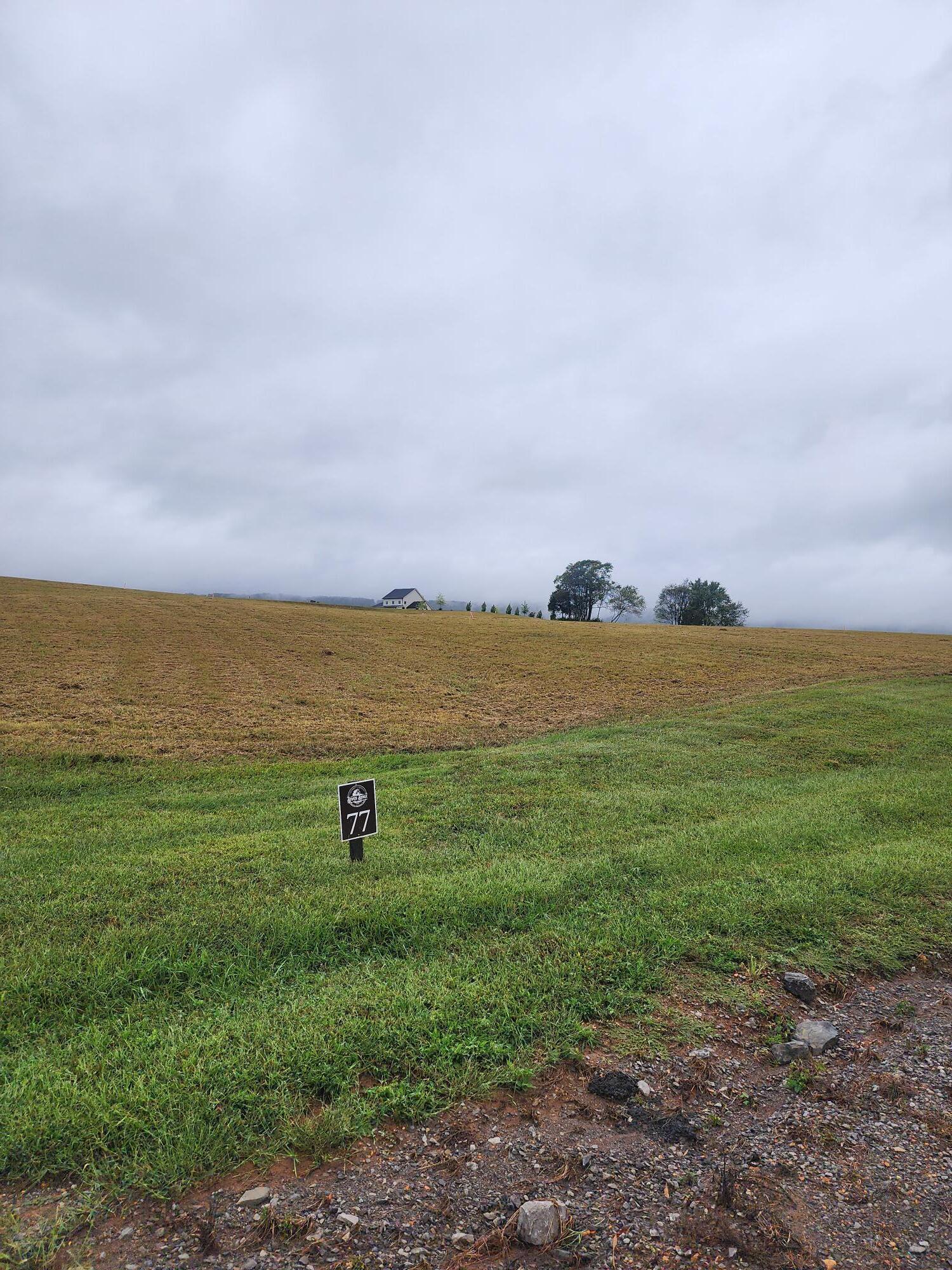 77 River Ridge Drive, Dunlap, Tennessee image 3