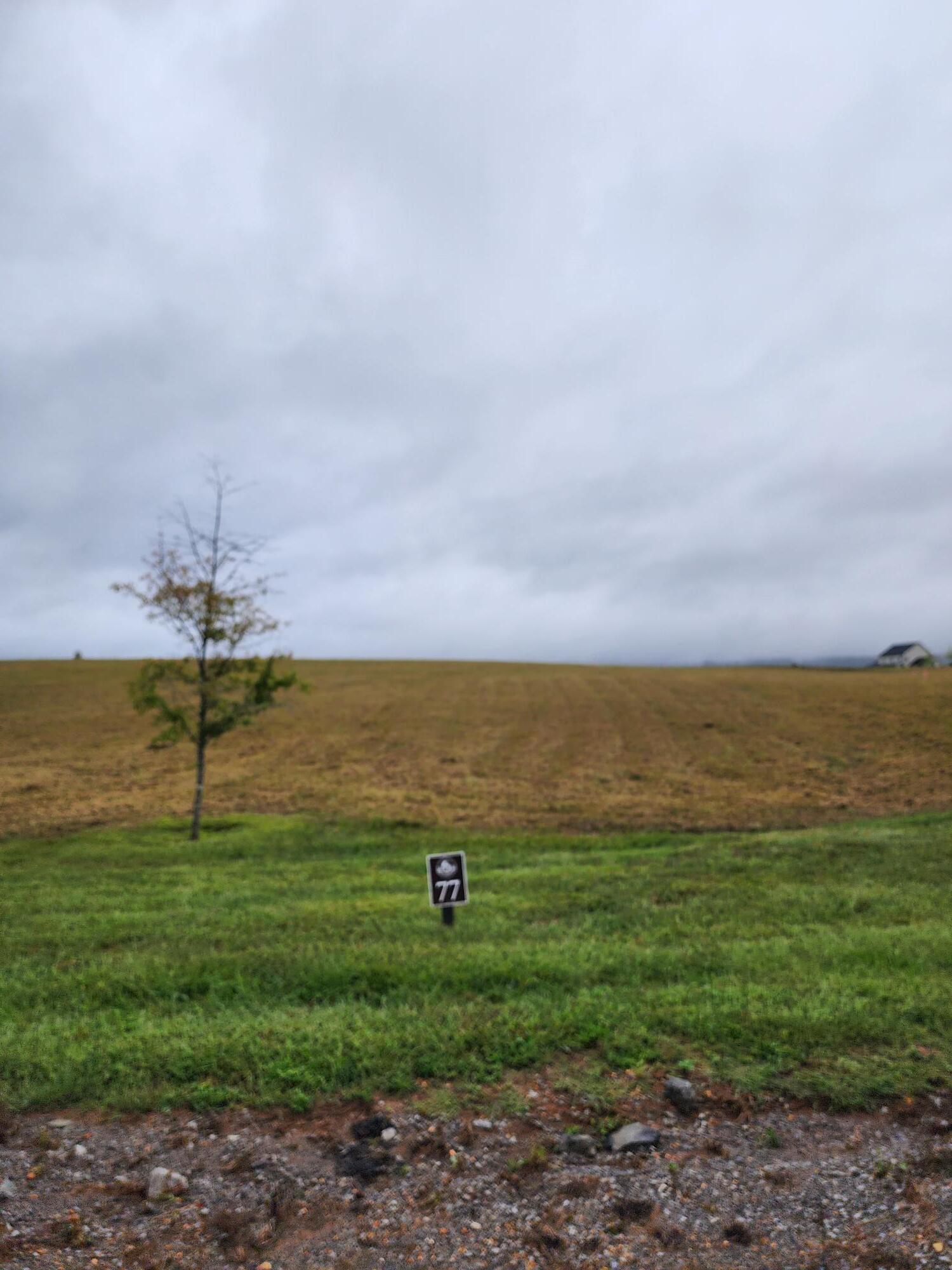 77 River Ridge Drive, Dunlap, Tennessee image 1