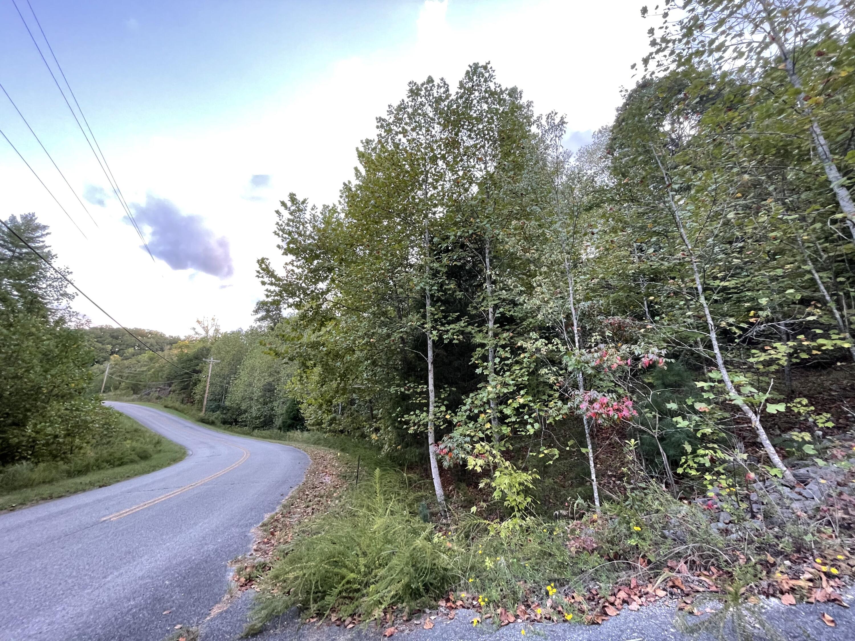 Crystal Springs Road, Rockwood, Tennessee image 3