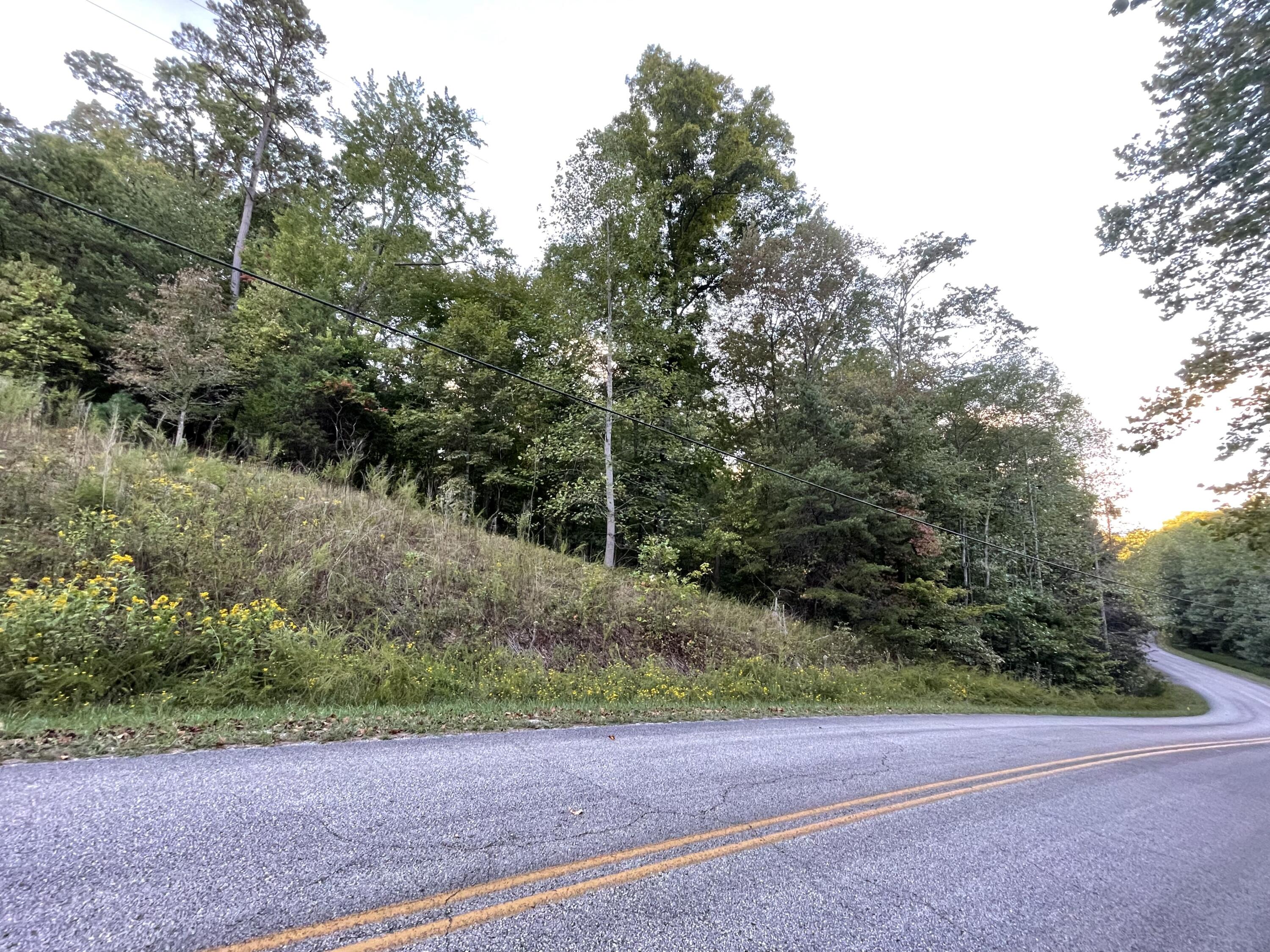 Crystal Springs Road, Rockwood, Tennessee image 6