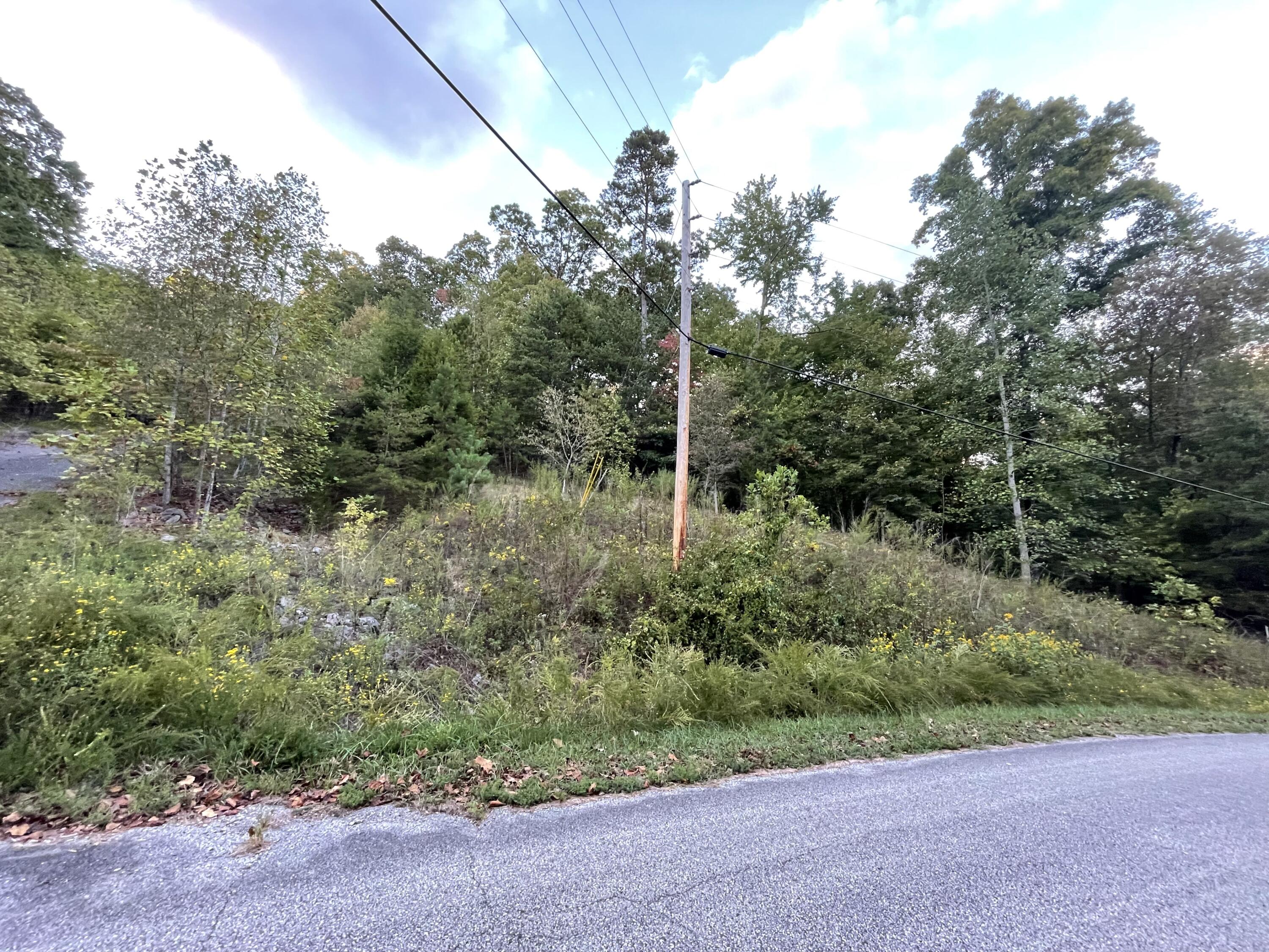 Crystal Springs Road, Rockwood, Tennessee image 10