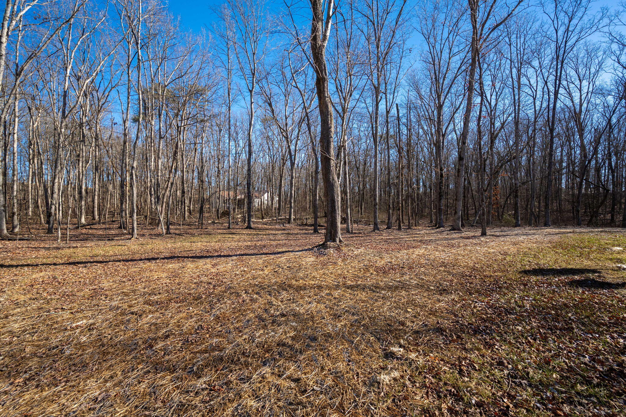 6736 Tn-8, Dunlap, Tennessee image 19