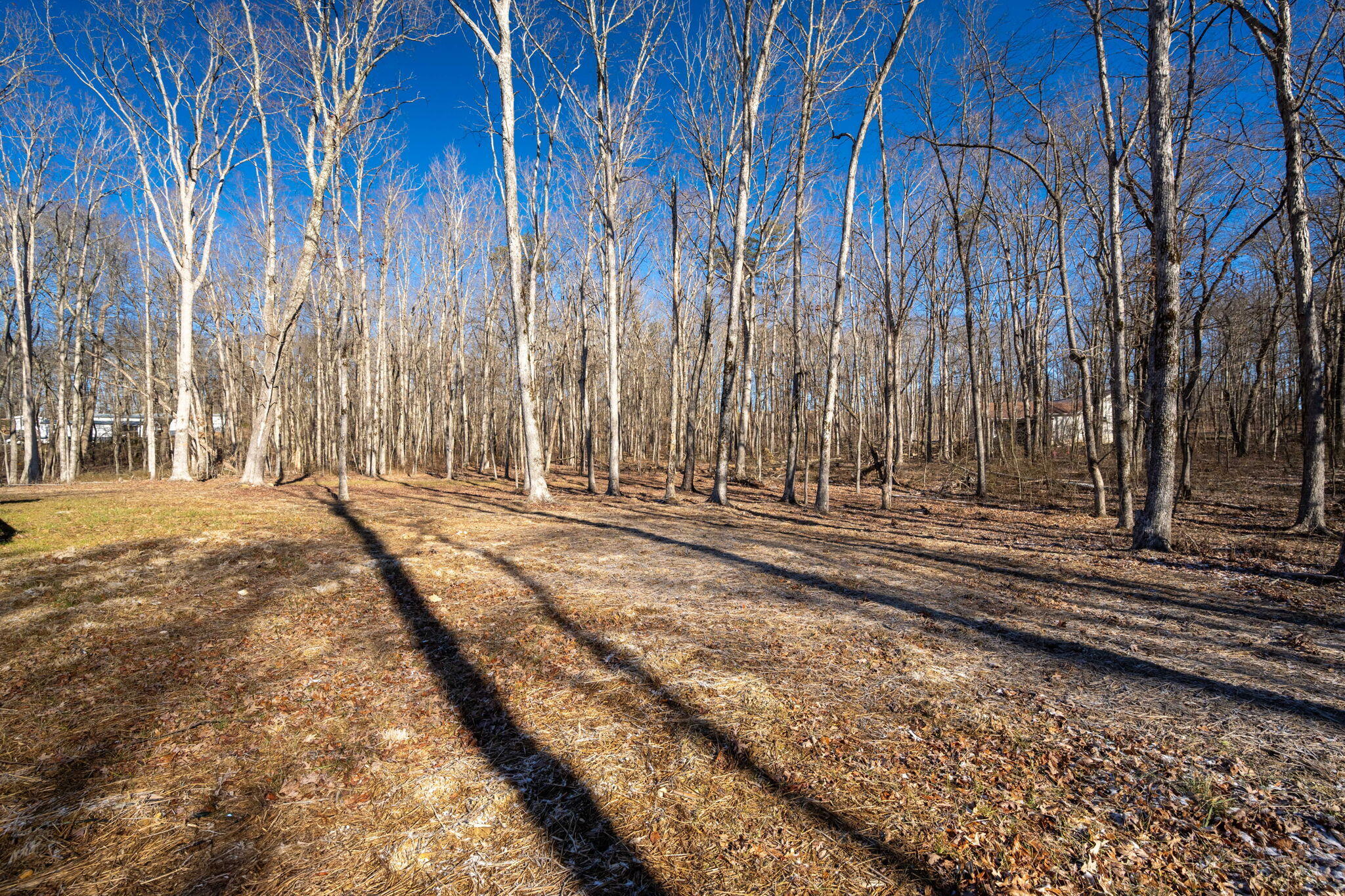 6736 Tn-8, Dunlap, Tennessee image 15