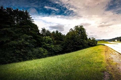 Tiny photo for 11111 Hixson Pike, Soddy Daisy, TN 37379 (MLS # 1518749)