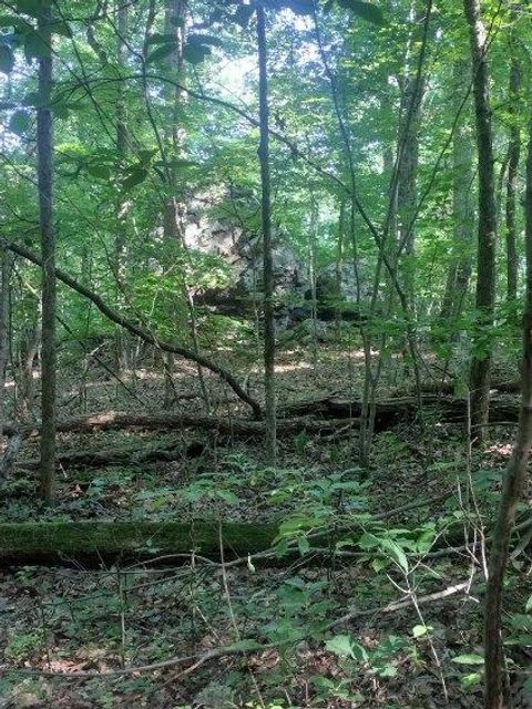 Photo of 2 Boulder Drive, Dunlap, TN 37327 (MLS # 1393421)