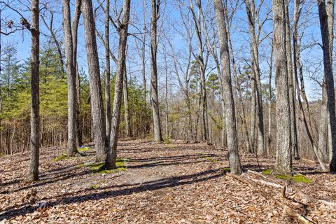 Photo of 0 Pierce Hill Road, Dayton, TN 37321 (MLS # 1520117)