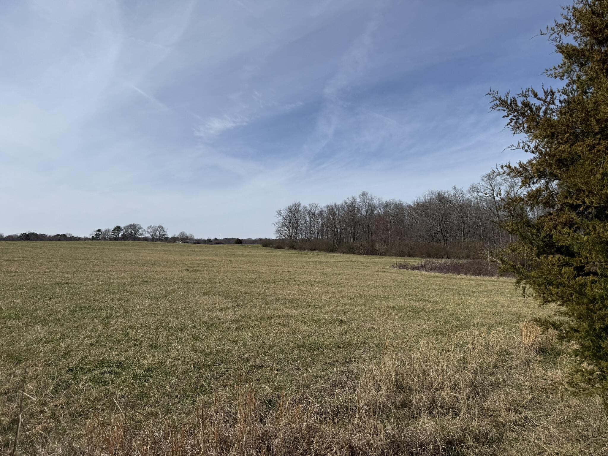 40 Ac County Road 131, Bryant, Alabama image 8