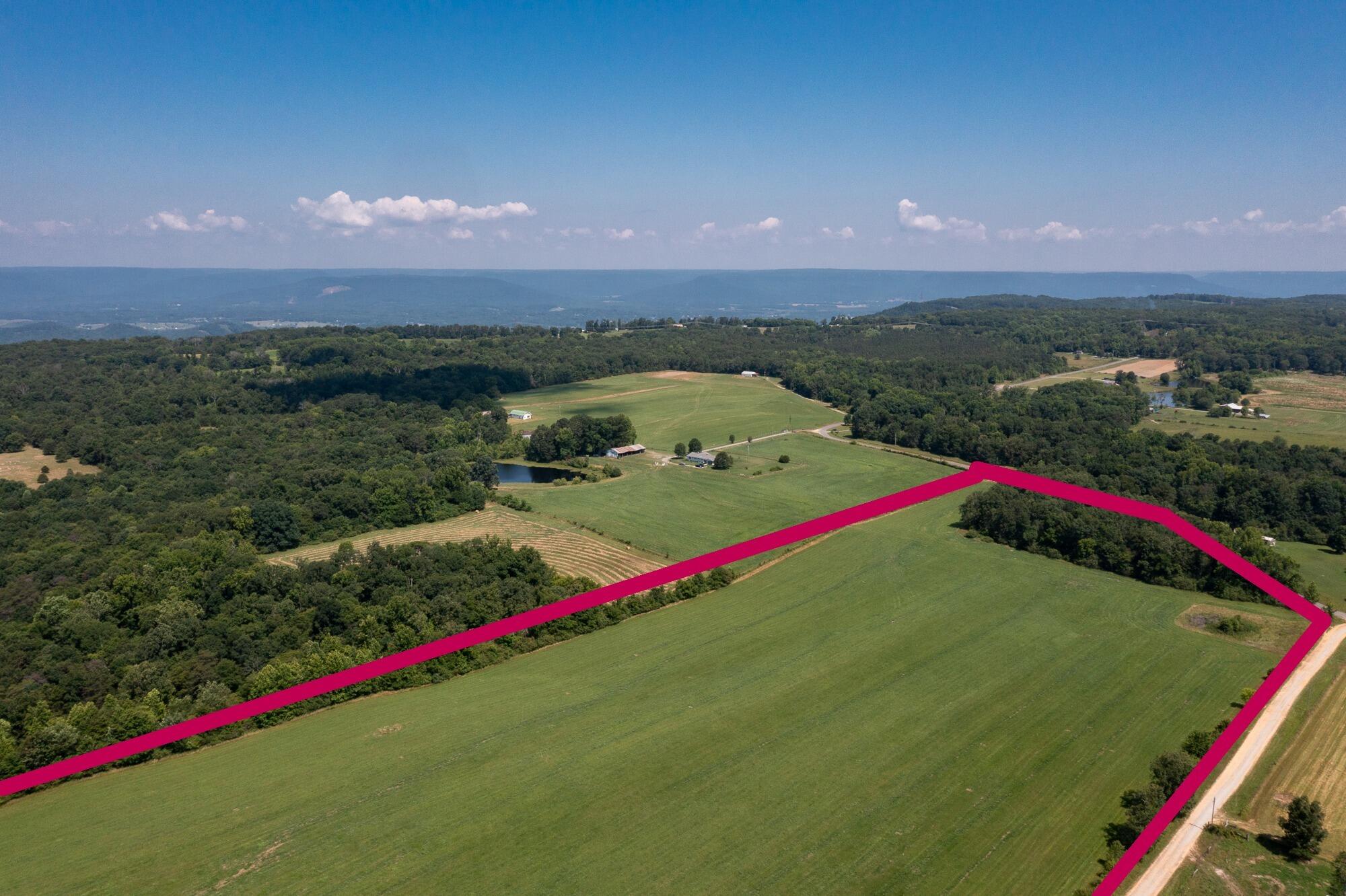 40 Ac County Road 131, Bryant, Alabama image 4