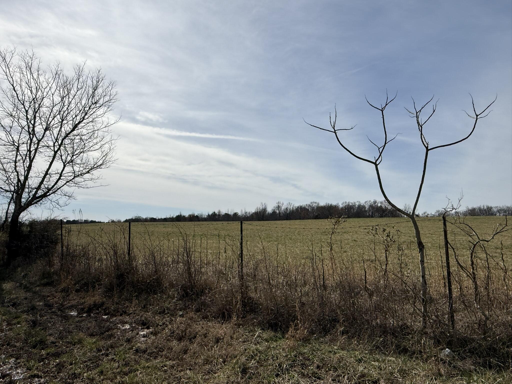 40 Ac County Road 131, Bryant, Alabama image 9