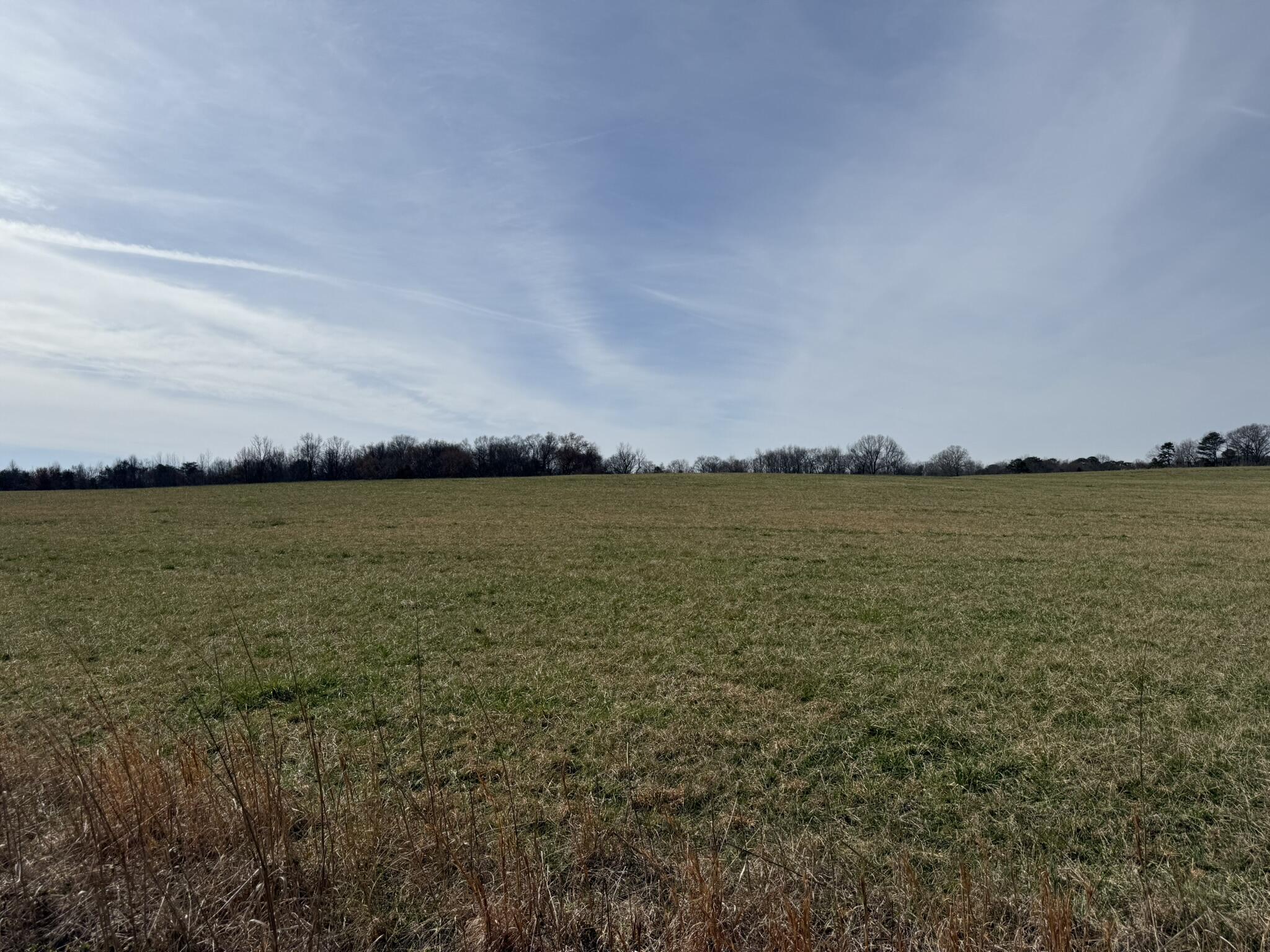 40 Ac County Road 131, Bryant, Alabama image 7