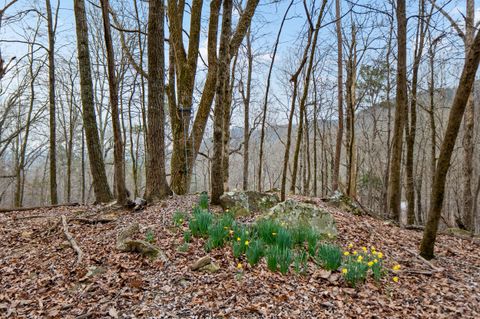Photo of Lot 8 Raulstontown, South Pittsburg, TN 37380 (MLS # 1529447)