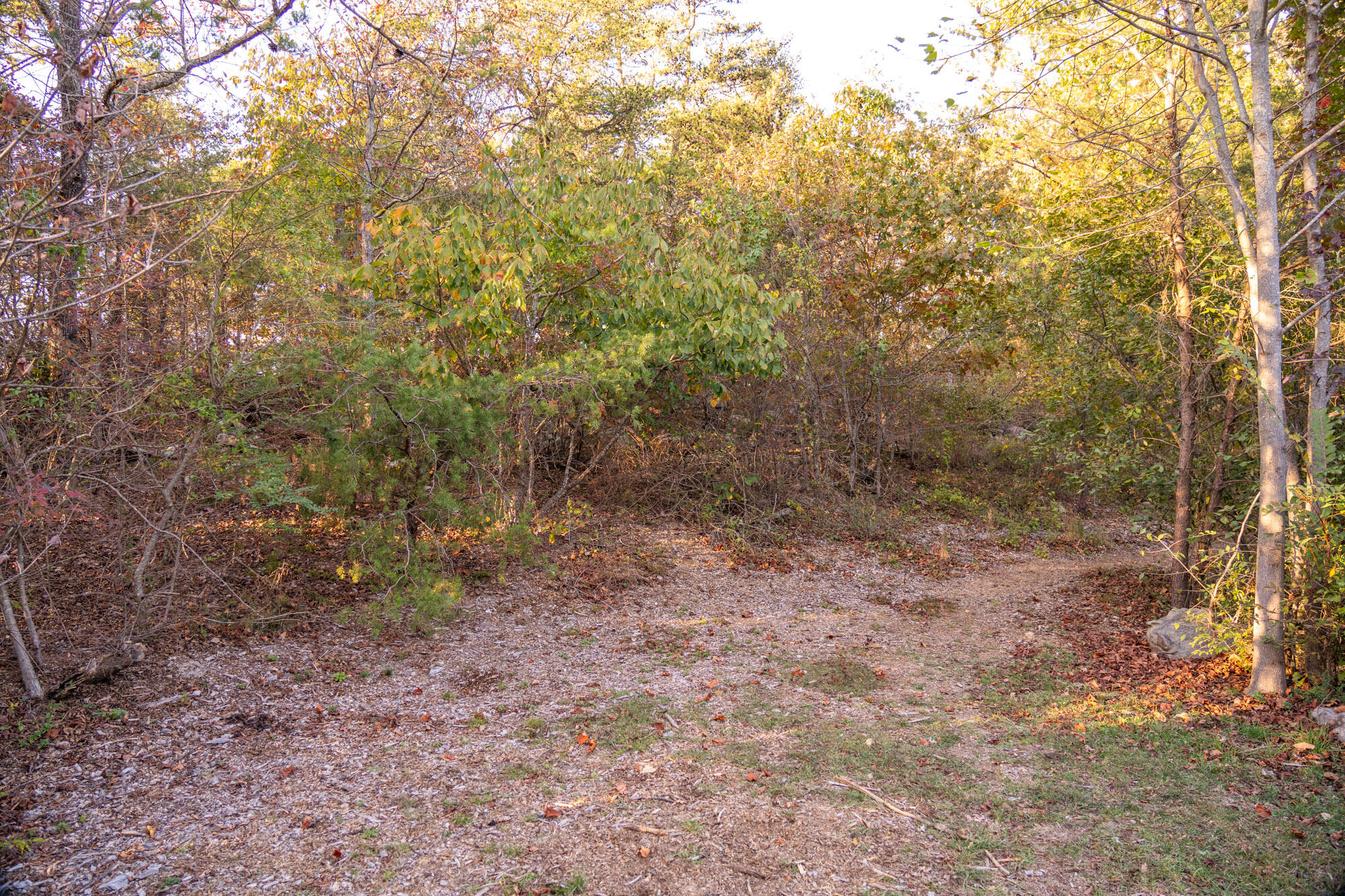 Stonesthrow Lane #LOT 5, Lookout Mountain, Georgia image 11