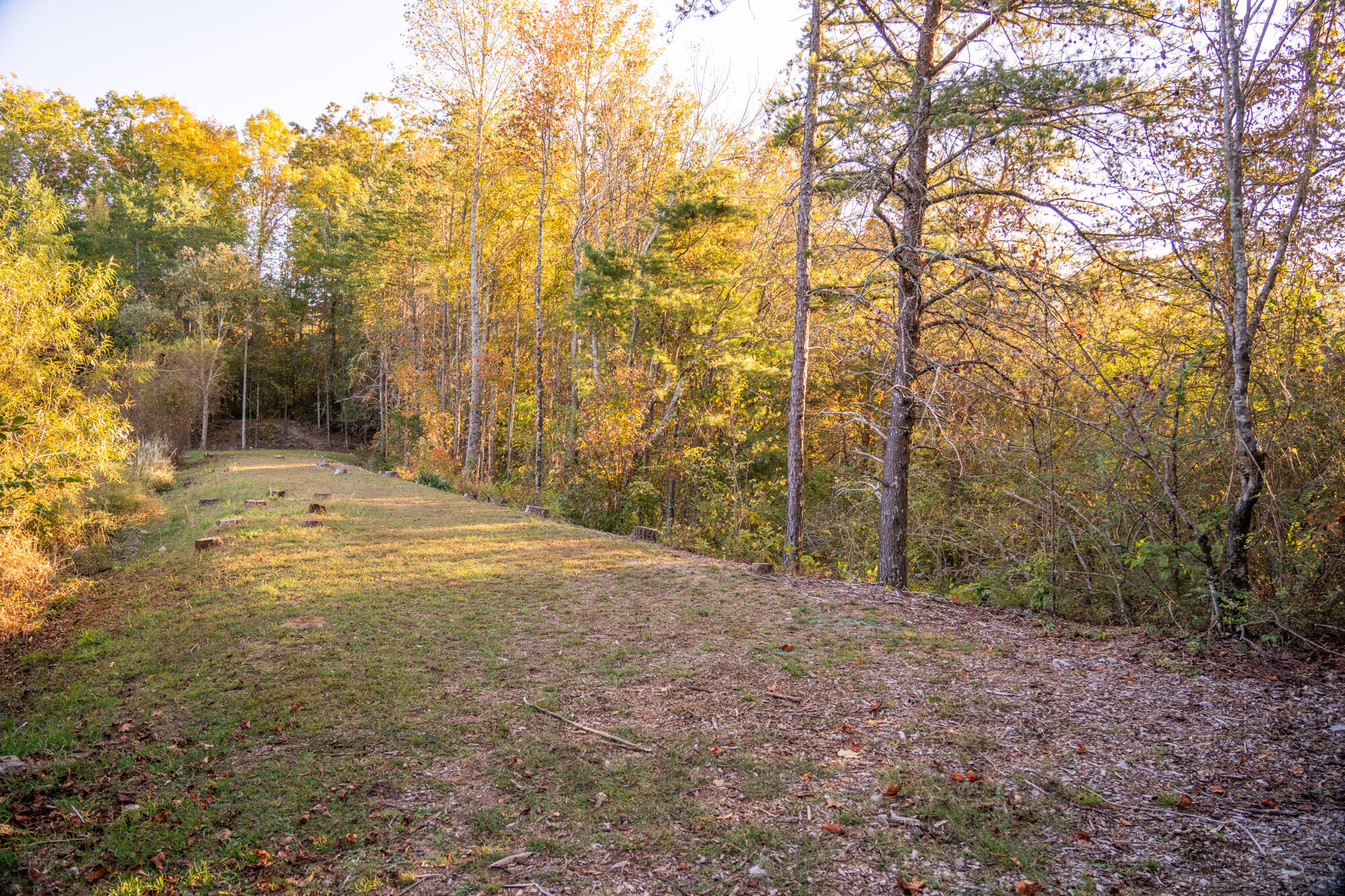 Stonesthrow Lane #LOT 5, Lookout Mountain, Georgia image 10