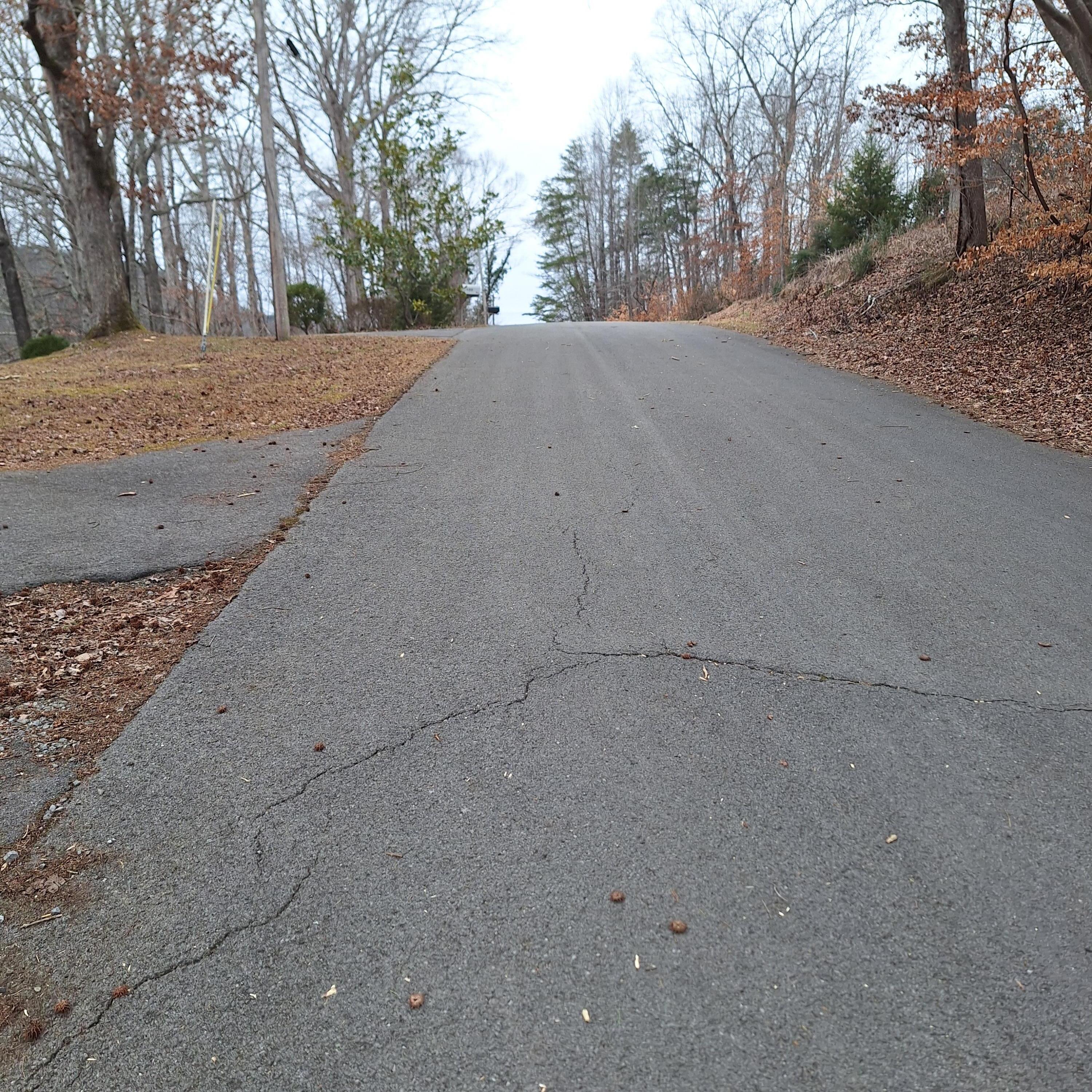 Logan Drive, Flintstone, Georgia image 3