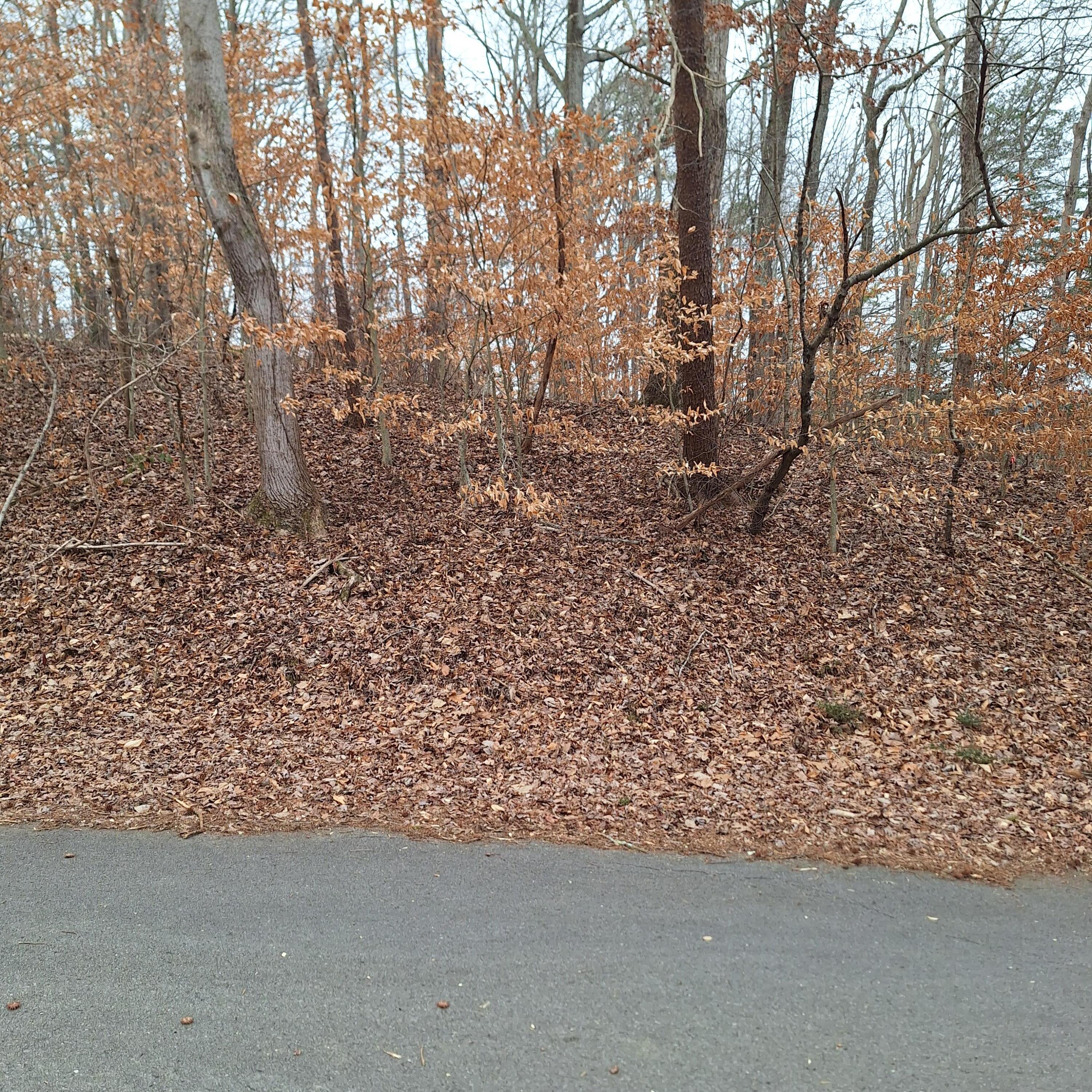 Logan Drive, Flintstone, Georgia image 1