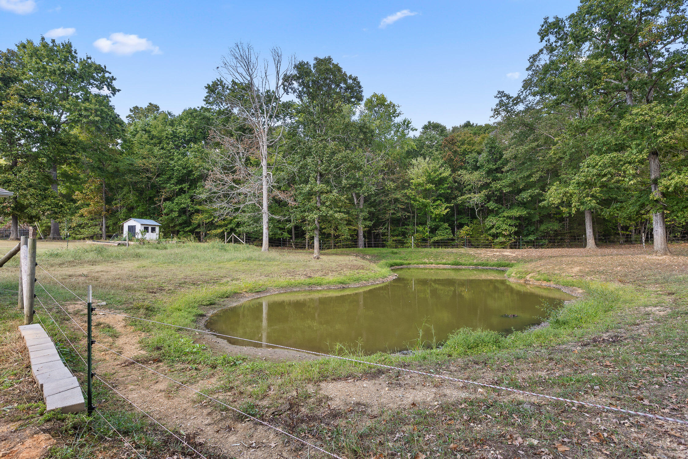 341 County Road 725, Riceville, Tennessee image 48