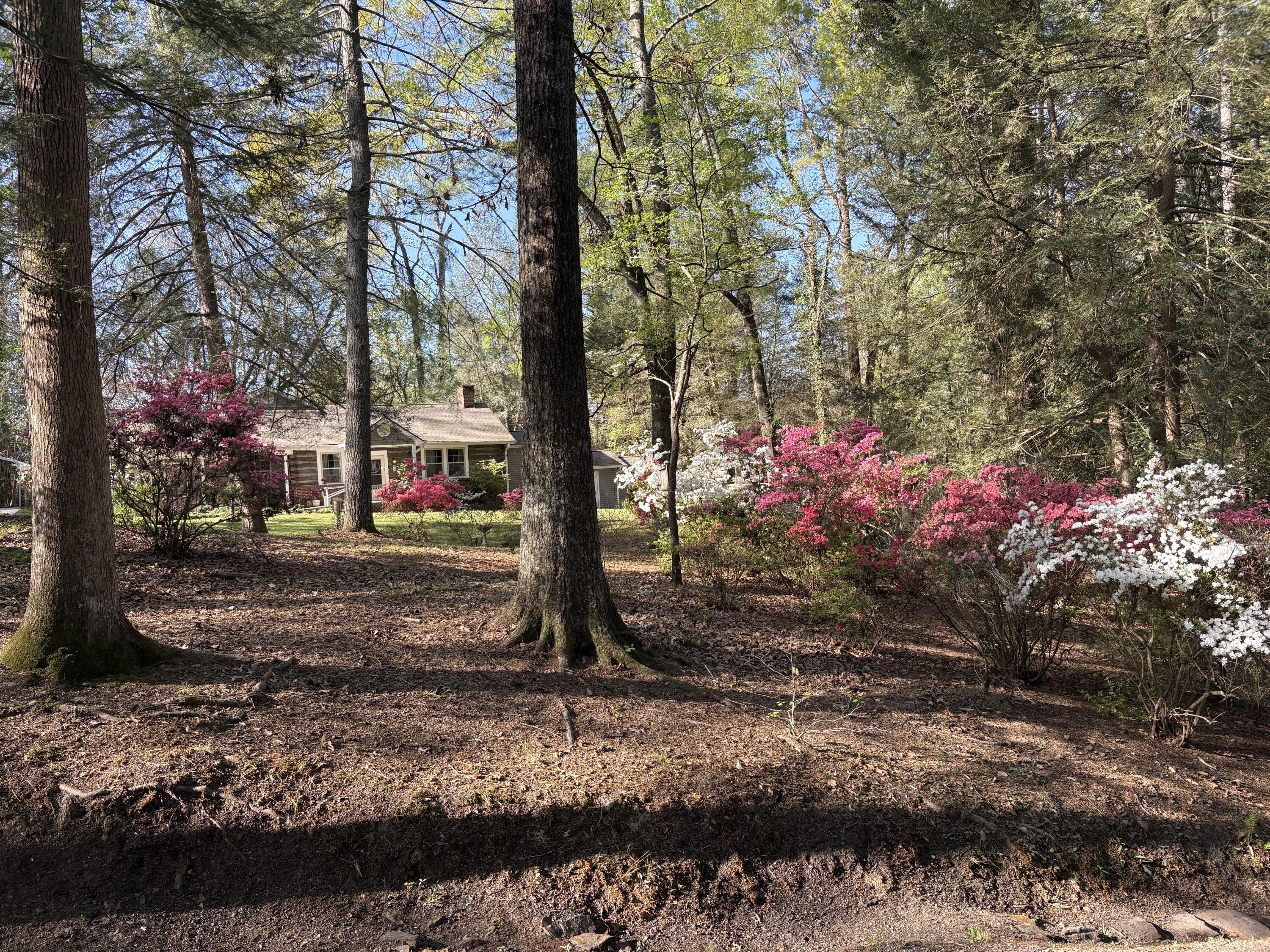 101 Fortune Lane