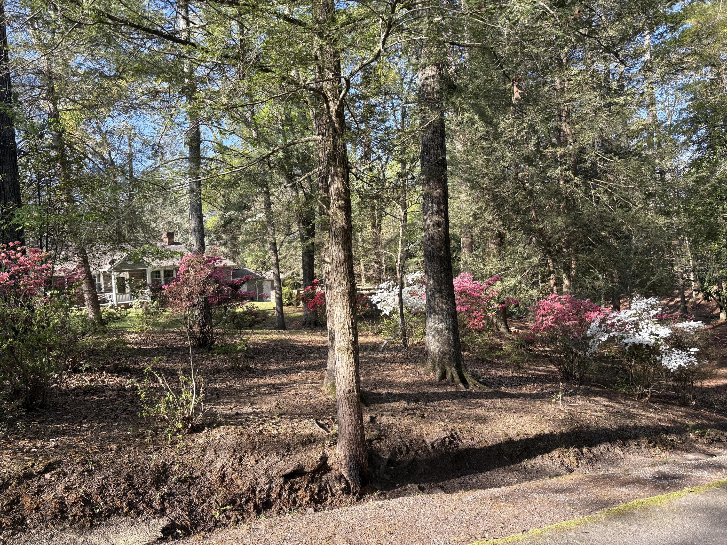 101 Fortune Lane