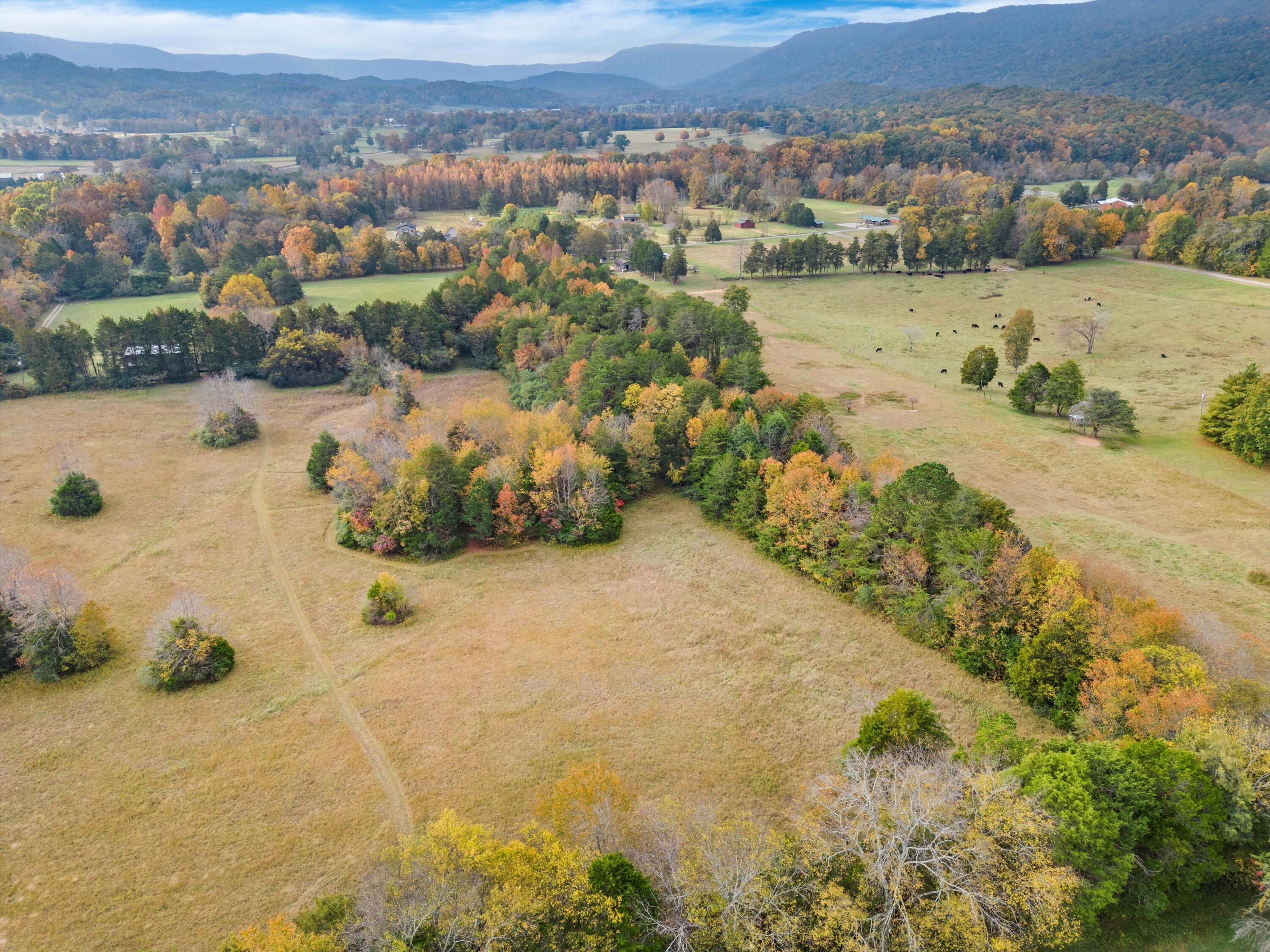 S Cedar Lane, Chickamauga, Georgia image 20