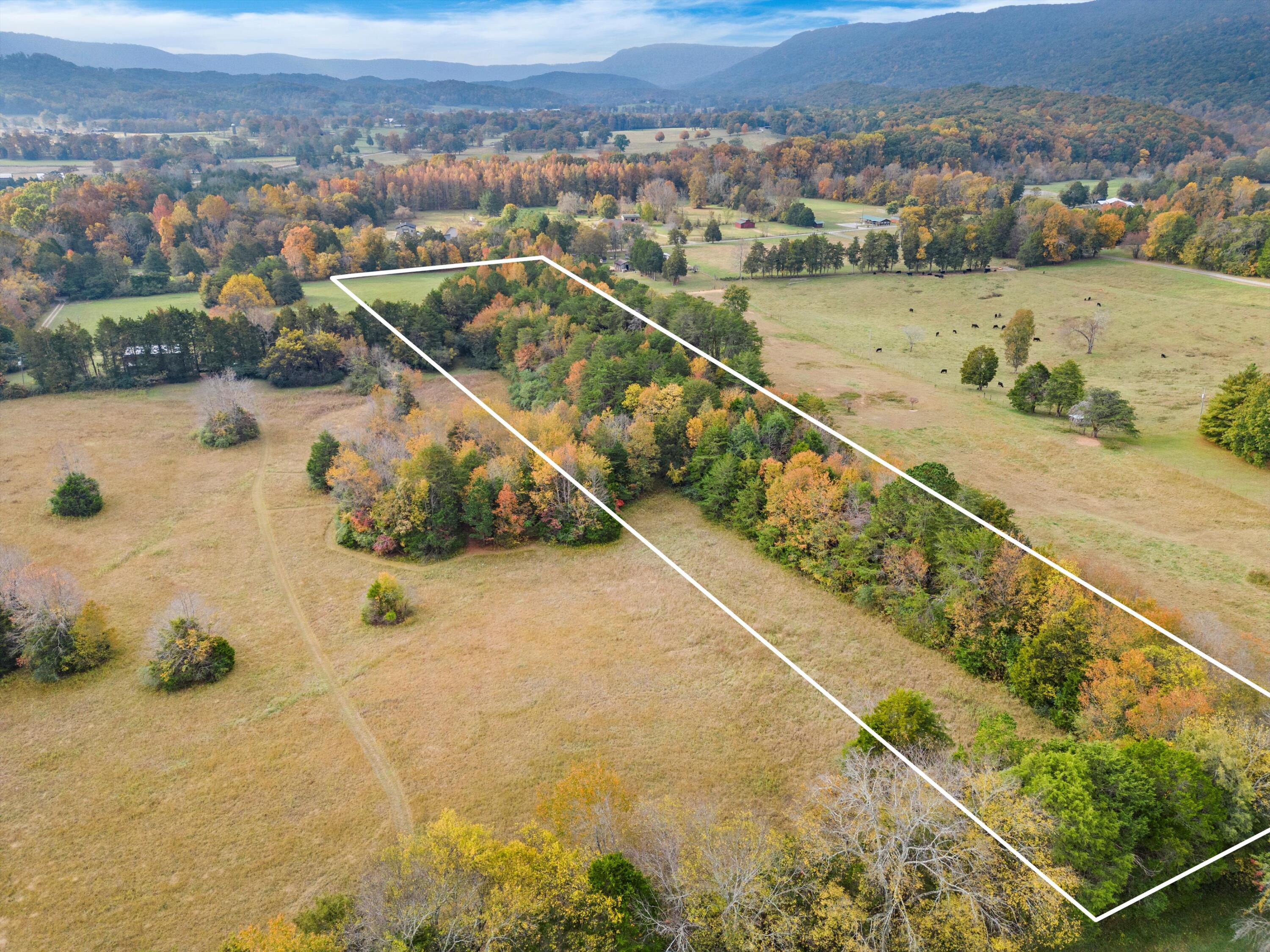 S Cedar Lane, Chickamauga, Georgia image 1