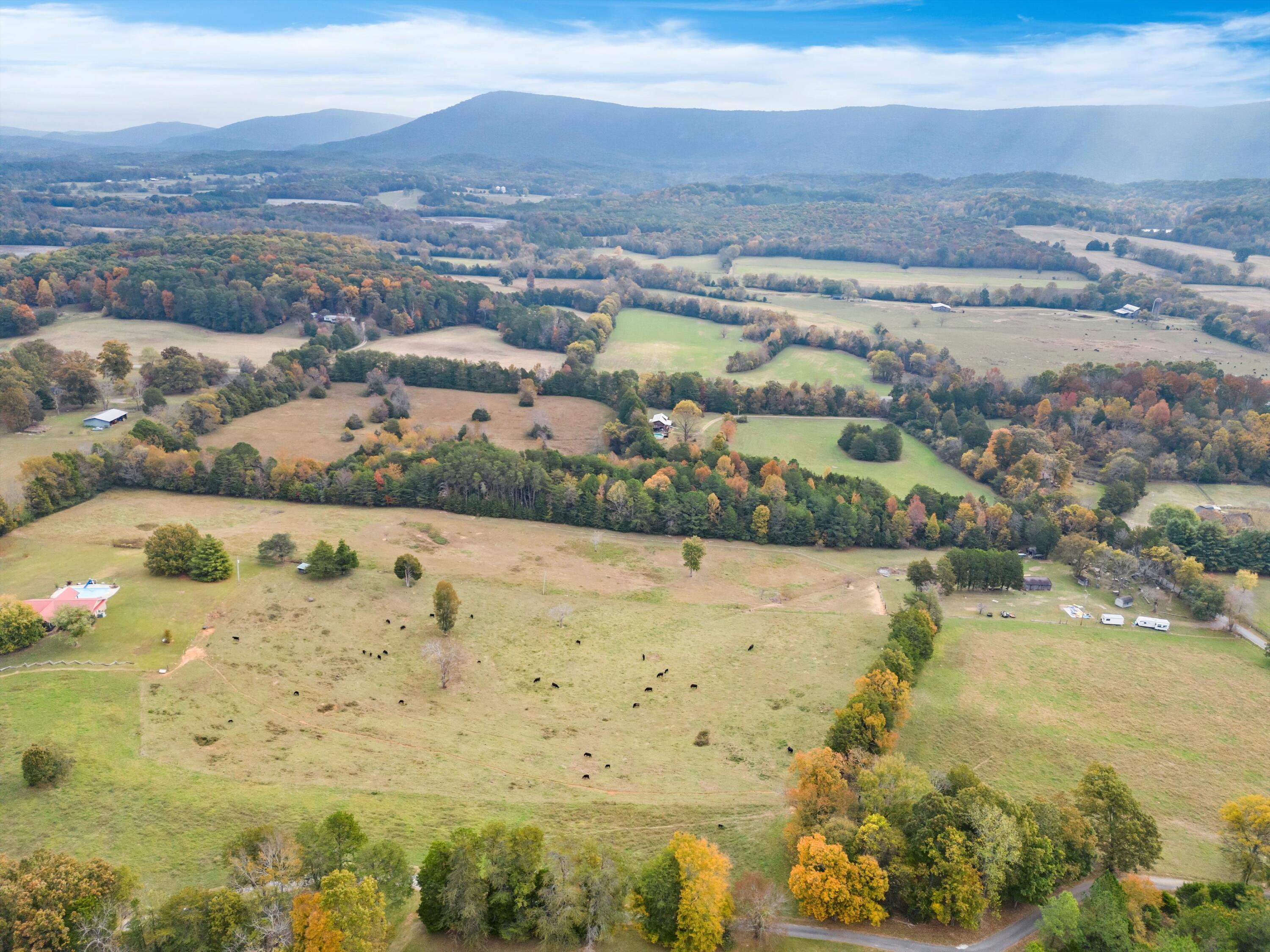 S Cedar Lane, Chickamauga, Georgia image 17