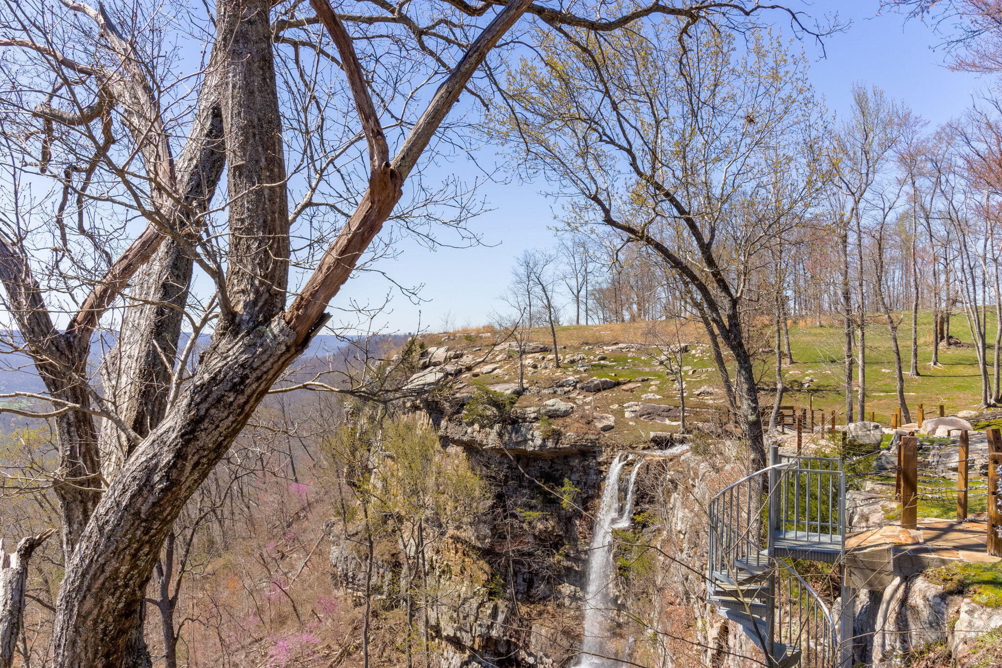 Jf217 Crockett Point Point, Jasper, Tennessee image 37