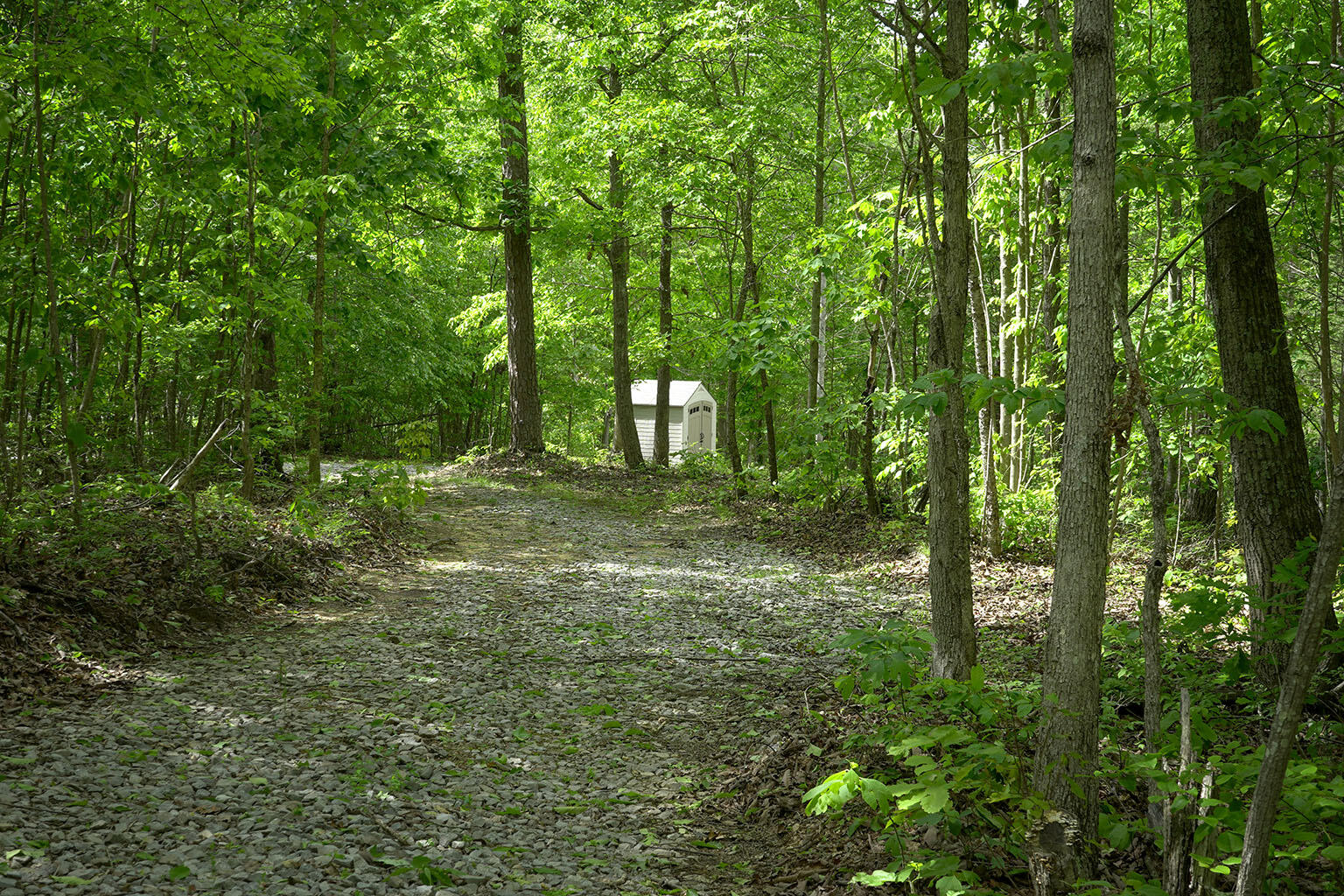 9998 S Pittsburg Mountain Road, South Pittsburg, Tennessee image 15