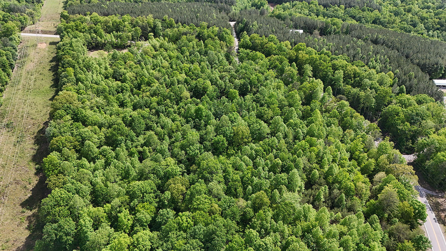 9998 S Pittsburg Mountain Road, South Pittsburg, Tennessee image 29