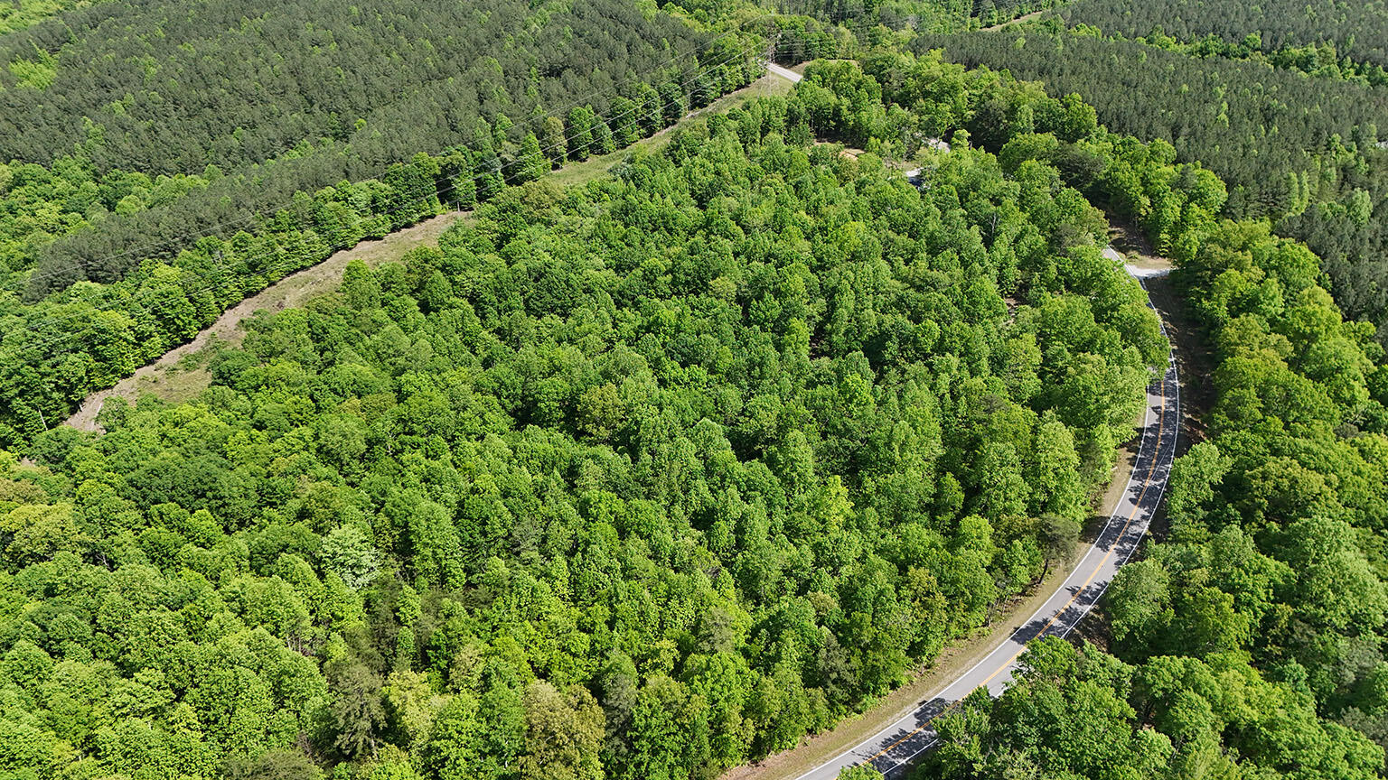 9998 S Pittsburg Mountain Road, South Pittsburg, Tennessee image 25