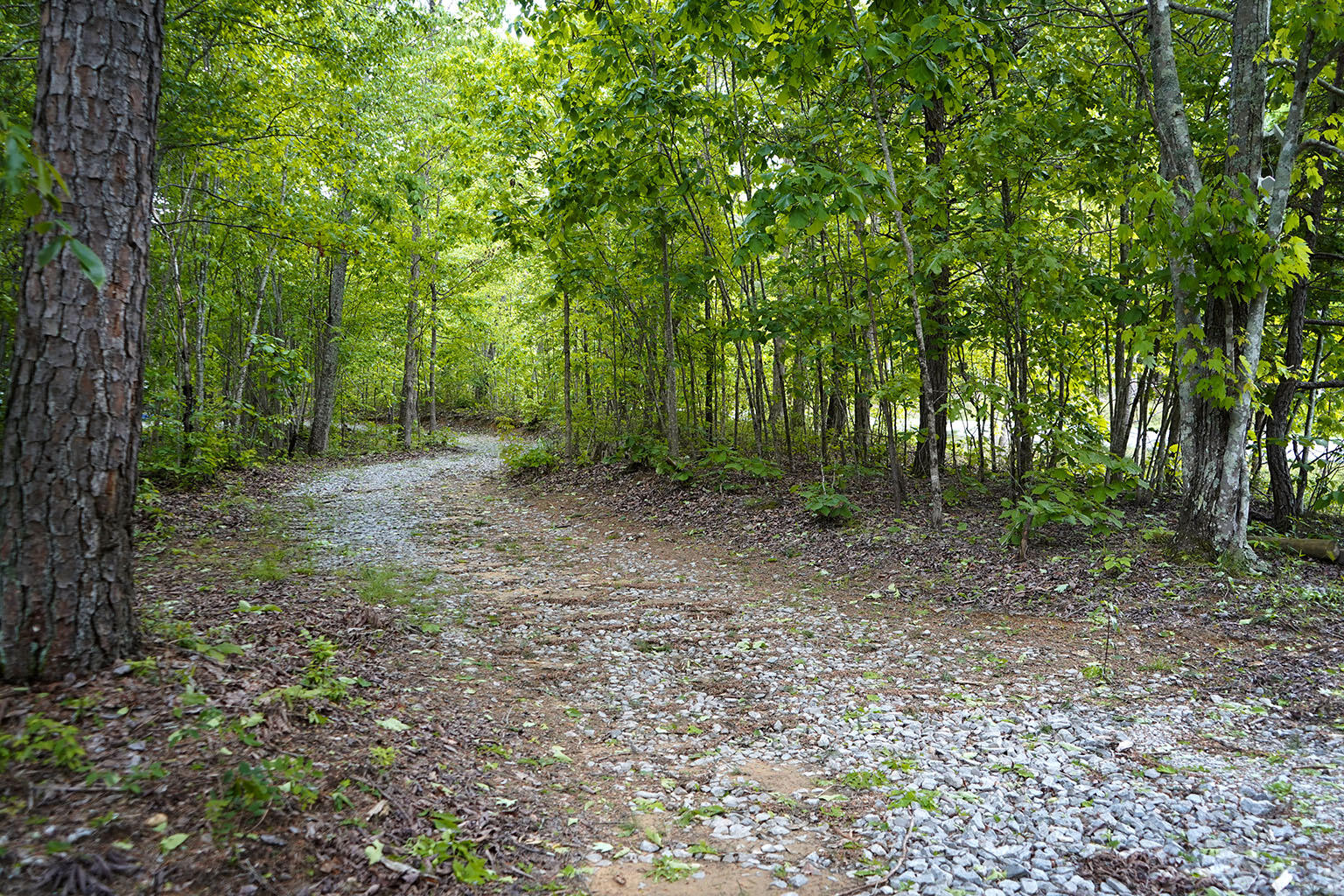 9998 S Pittsburg Mountain Road, South Pittsburg, Tennessee image 21