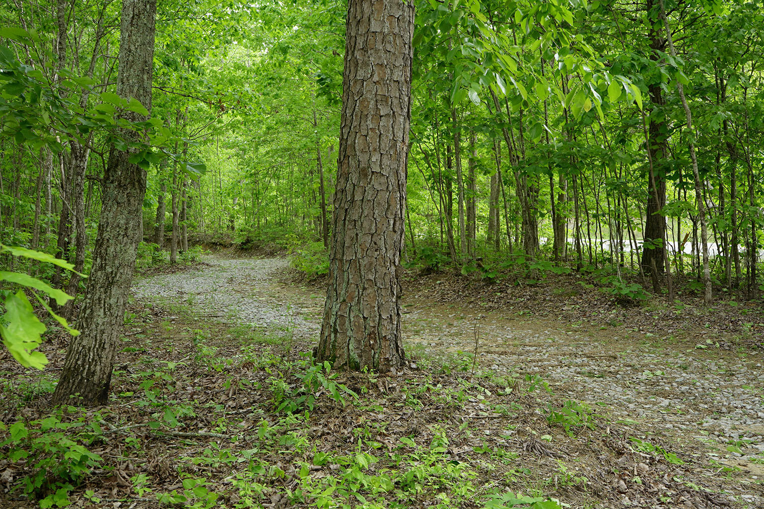 9998 S Pittsburg Mountain Road, South Pittsburg, Tennessee image 20