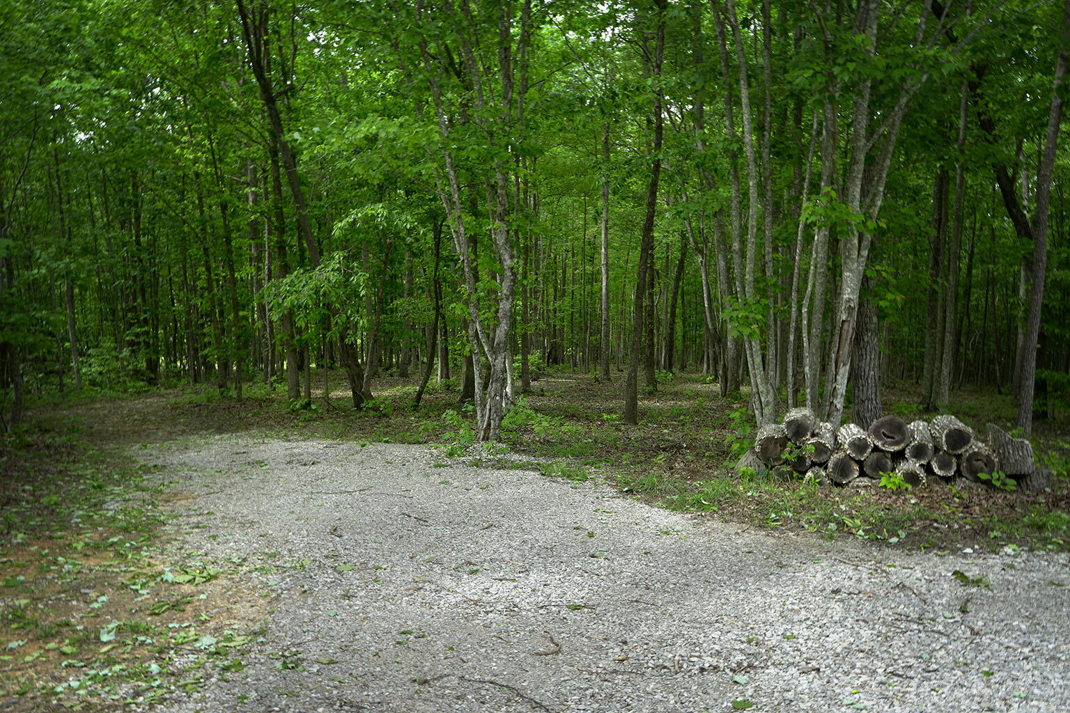 9998 S Pittsburg Mountain Road, South Pittsburg, Tennessee image 14
