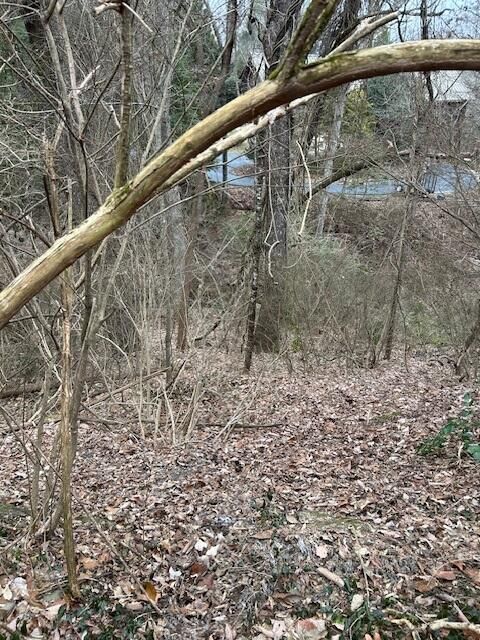 Tiny photo for 1007 Evanwood Drive E, Lookout Mountain, TN 37350 (MLS # 1393322)