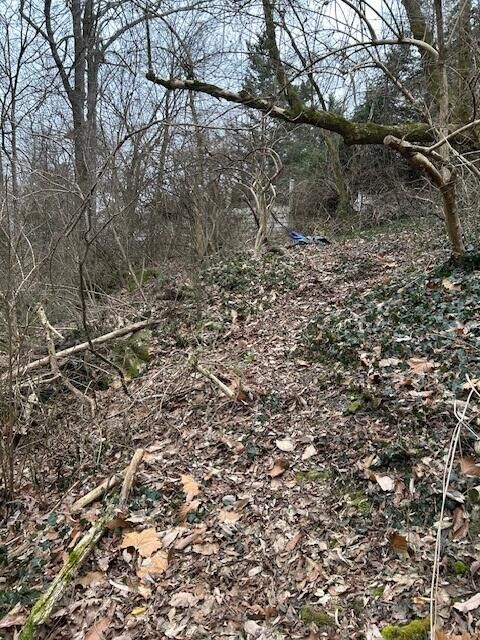 Tiny photo for 1007 Evanwood Drive E, Lookout Mountain, TN 37350 (MLS # 1393322)